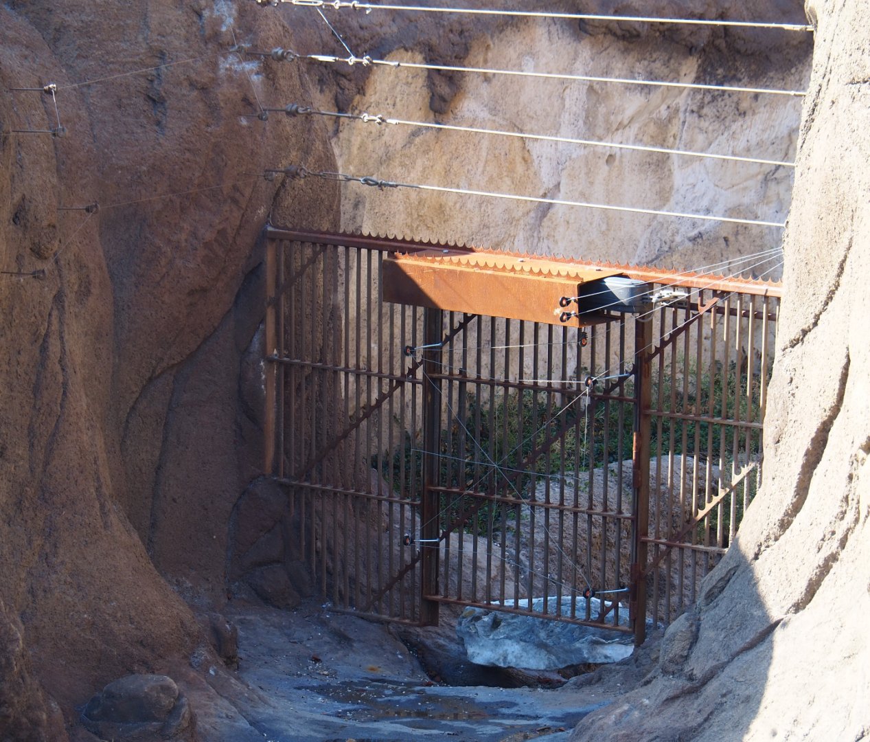 Gate to off-show corridor between Polar bear exhibits, 2020-09-02