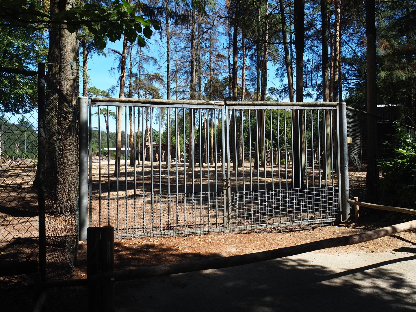 Gates and side-view of the savanna paddock