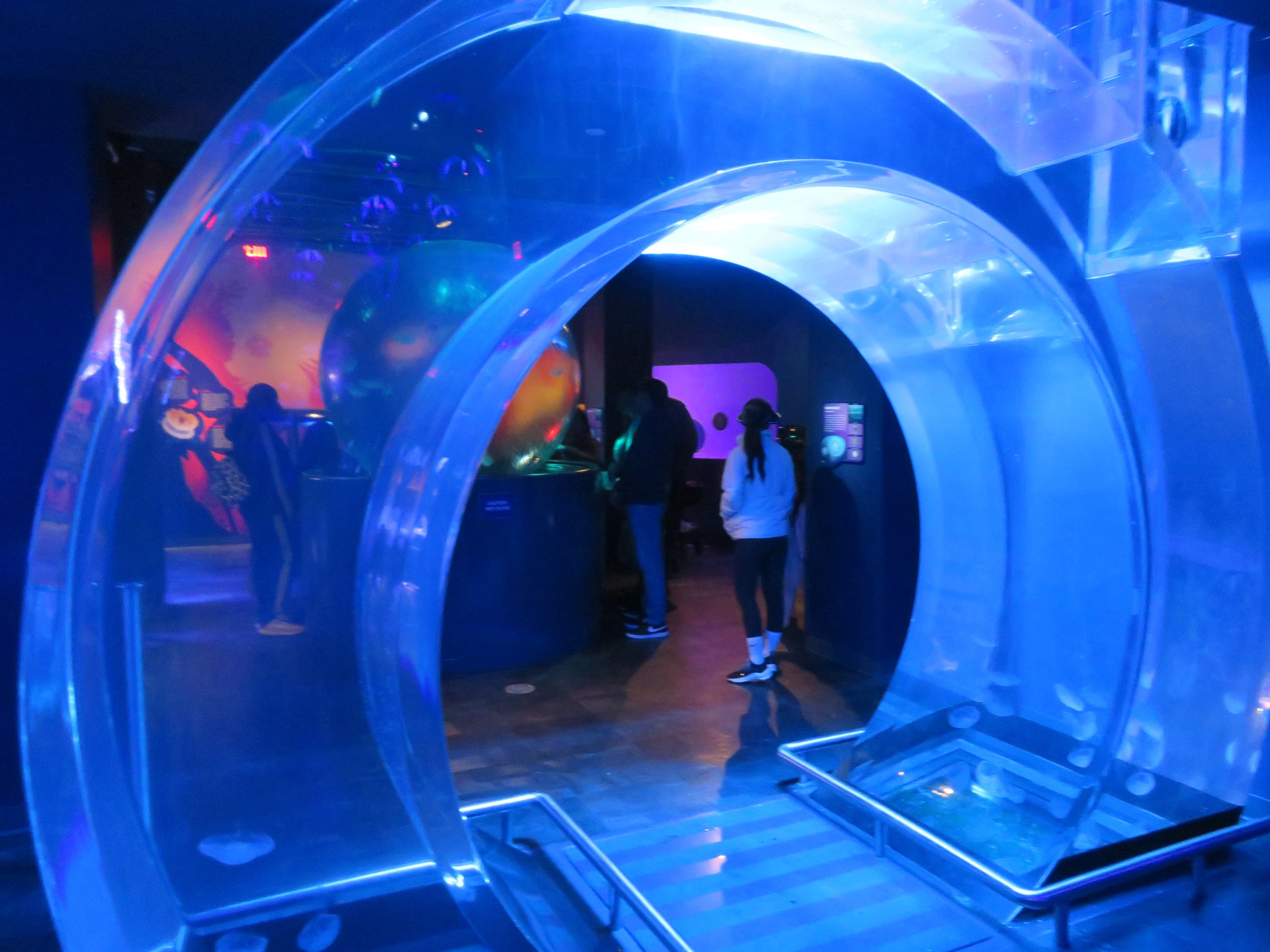 Gateway Arch Jelly Tank