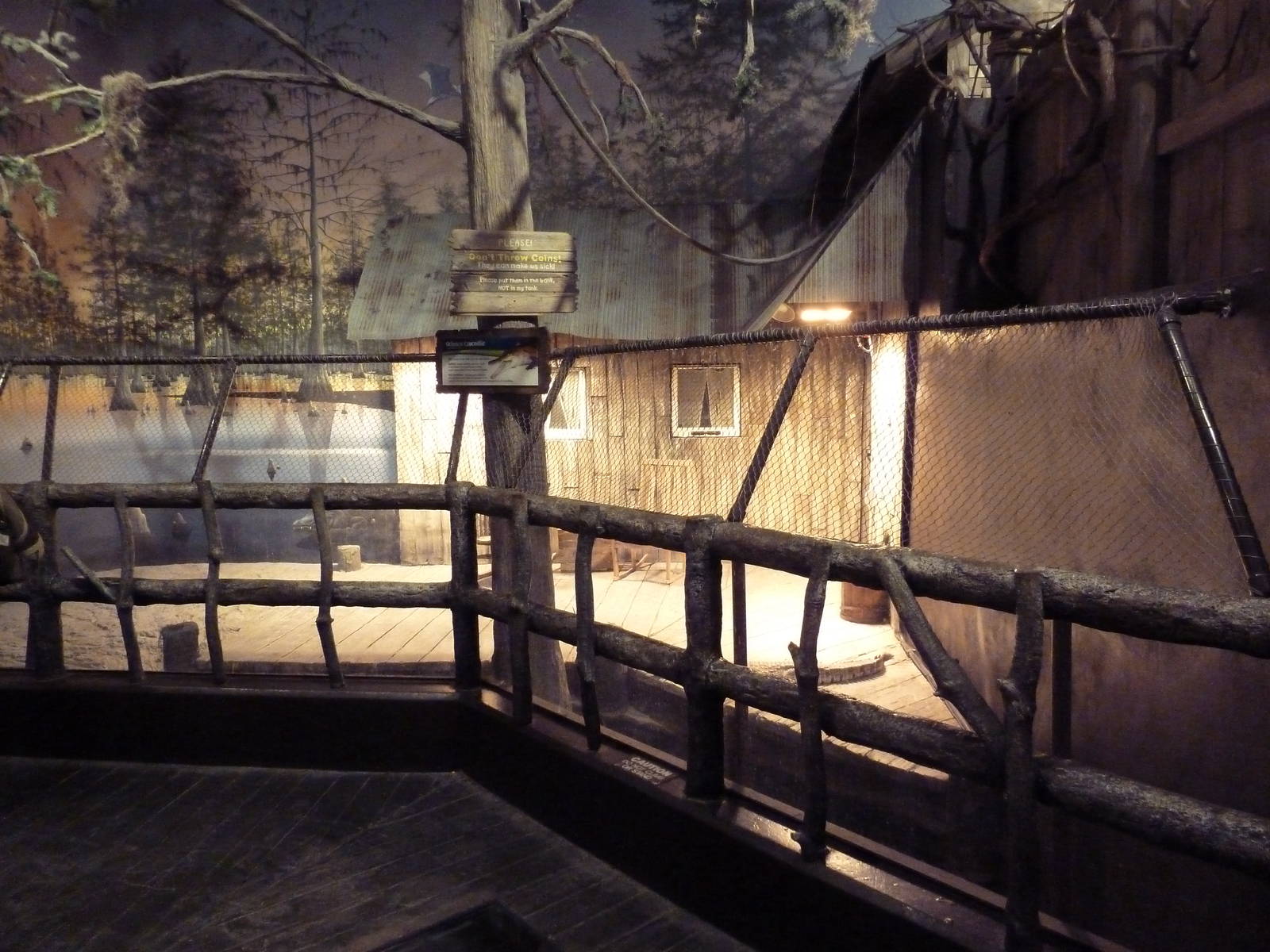 Gator Alley - Orinoco Crocodile Exhibit