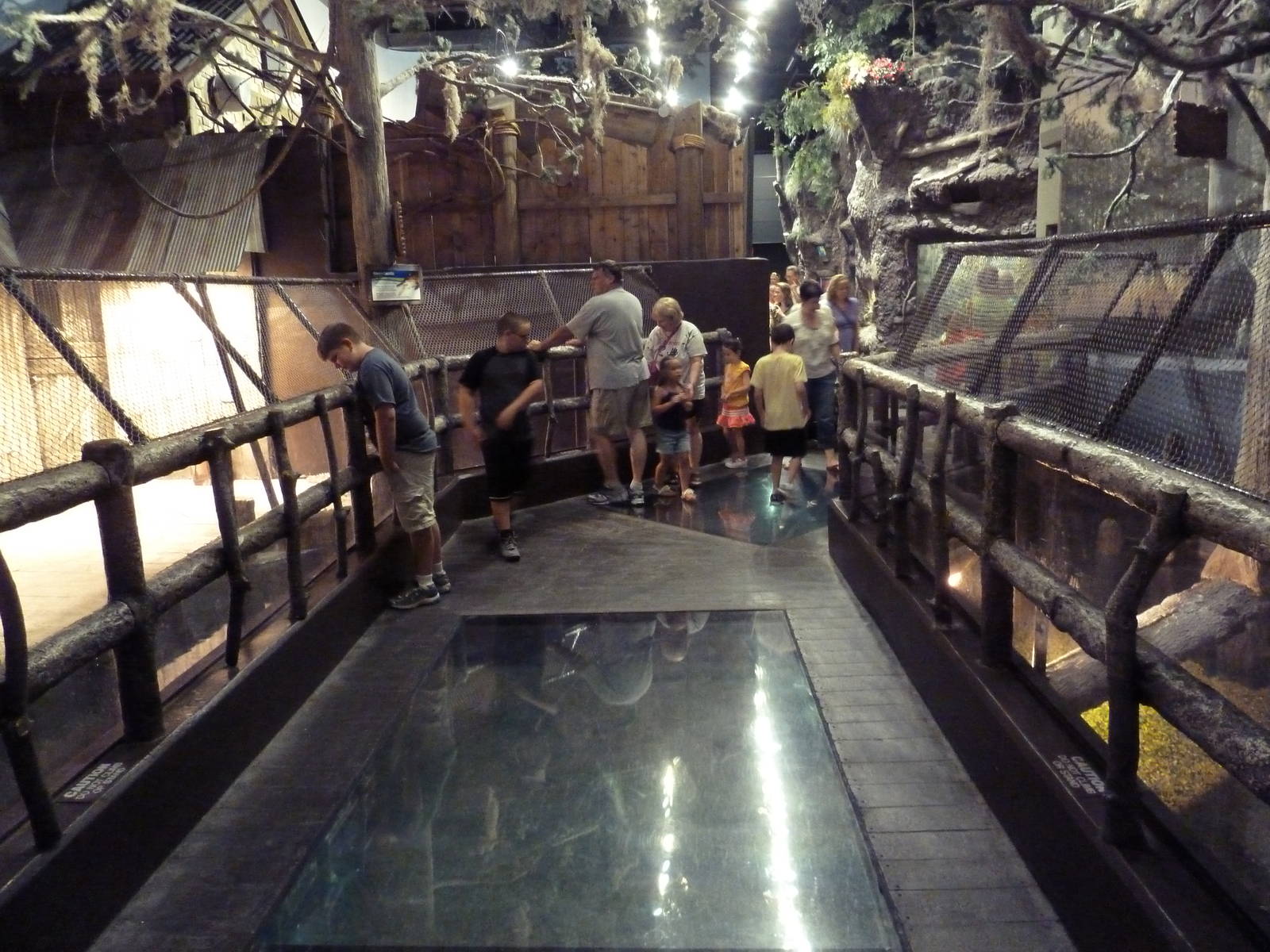 Gator Alley - Orinoco Crocodile Exhibit