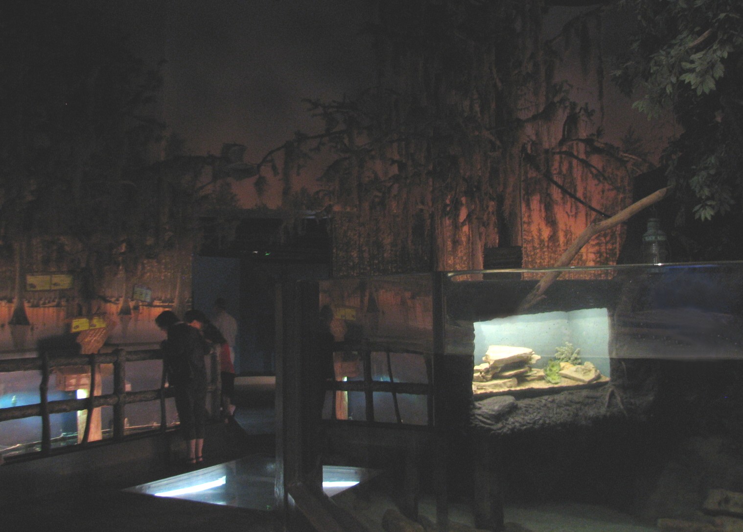 Gator Bayou - Overview