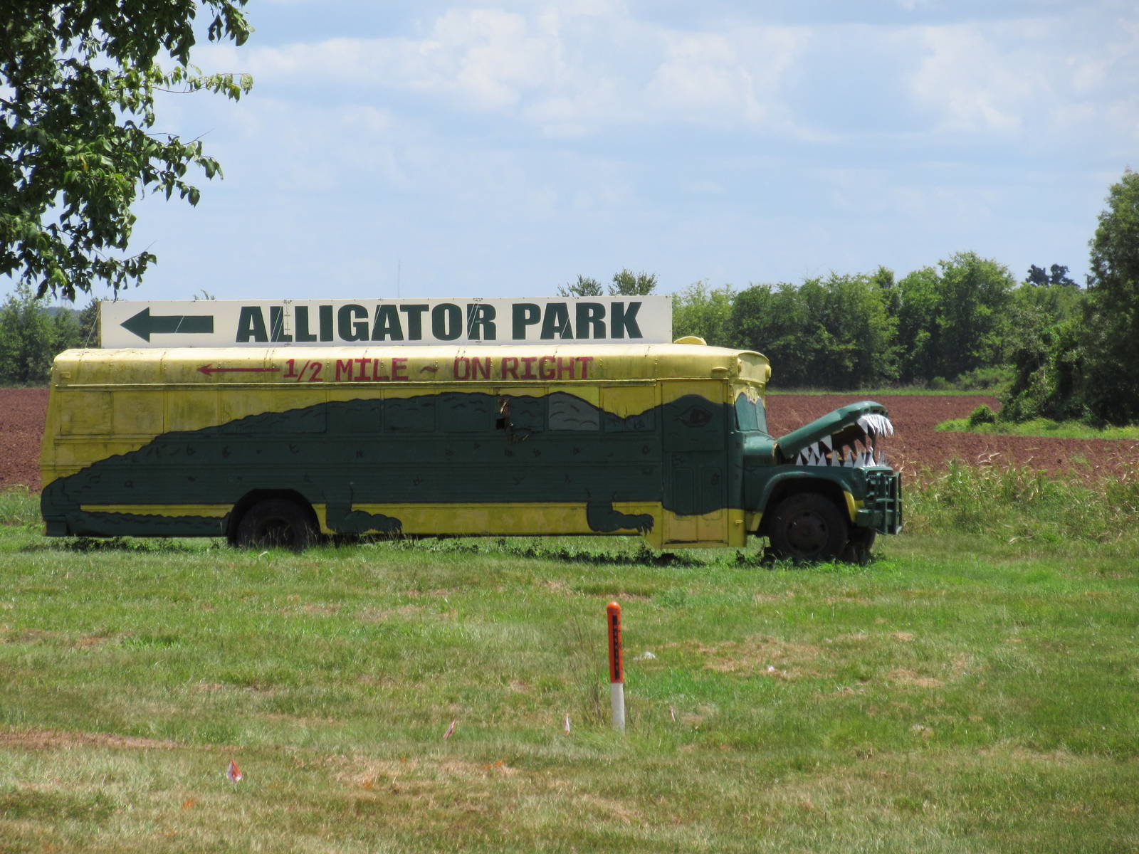 Gator Bus (just down the road)