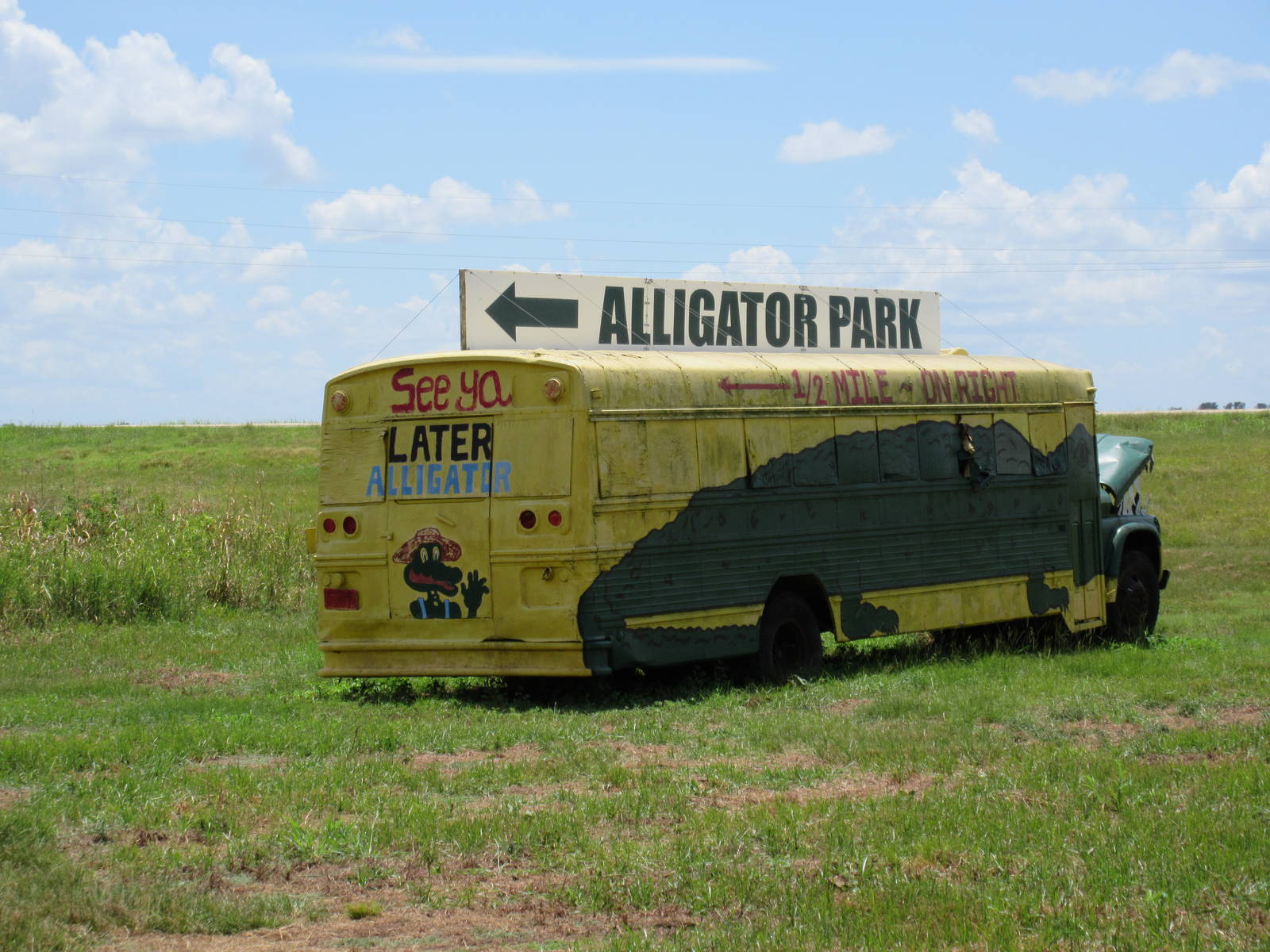 Gator Bus (just down the road)