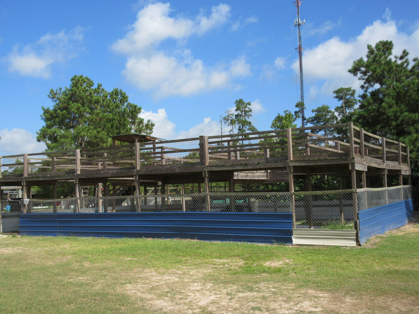 Gator Exhibit - wading with gators for an extra fee