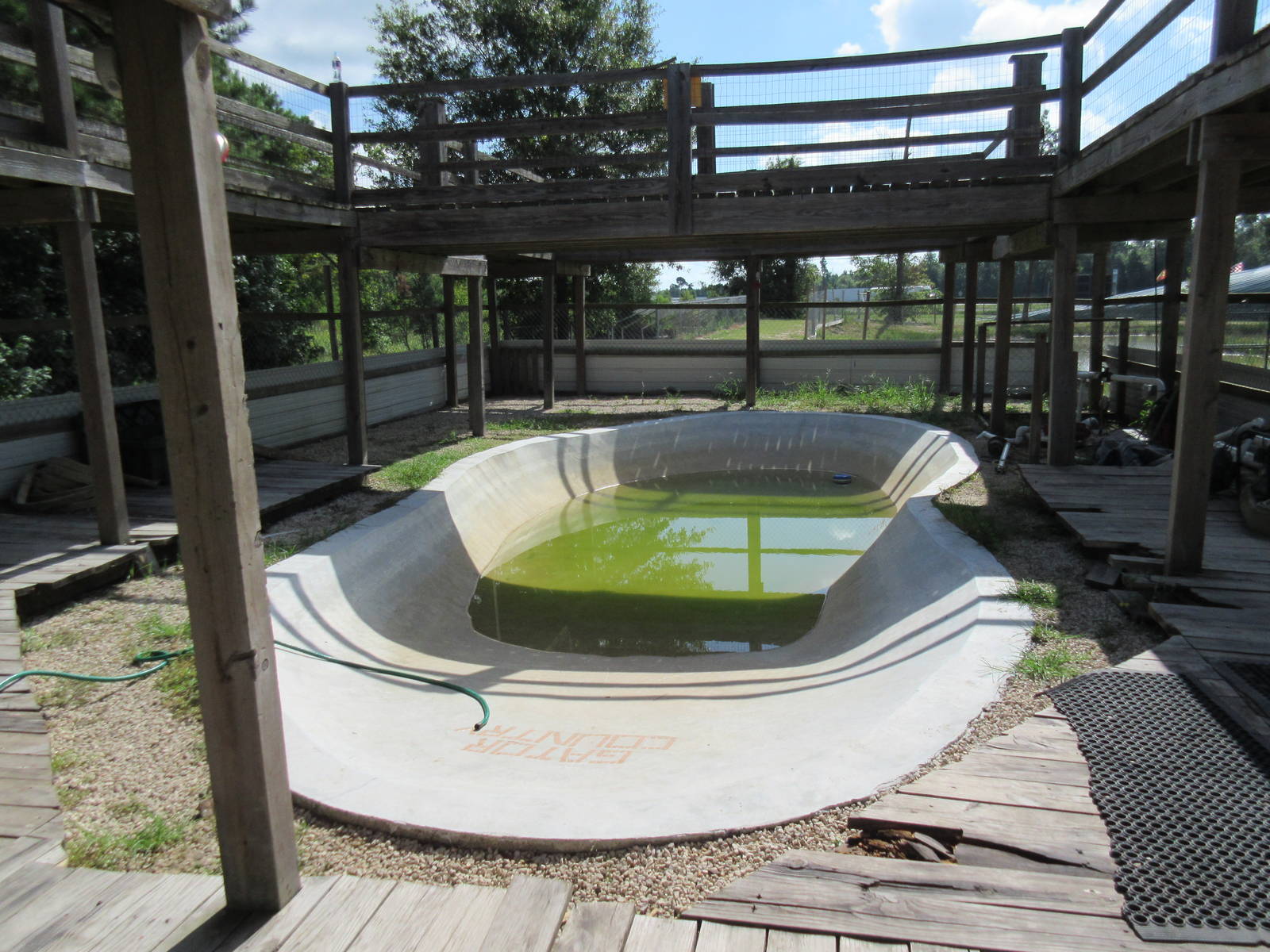 Gator Exhibit - wading with gators for an extra fee