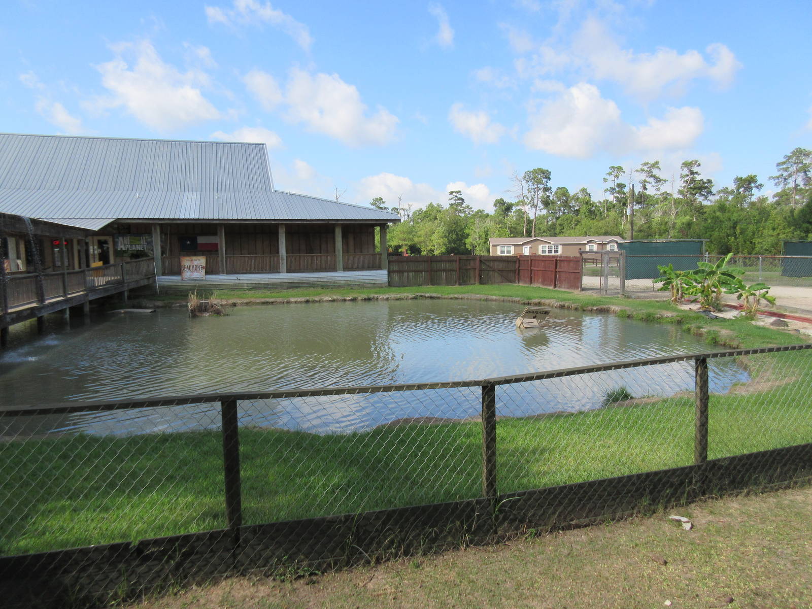 Gator Exhibit