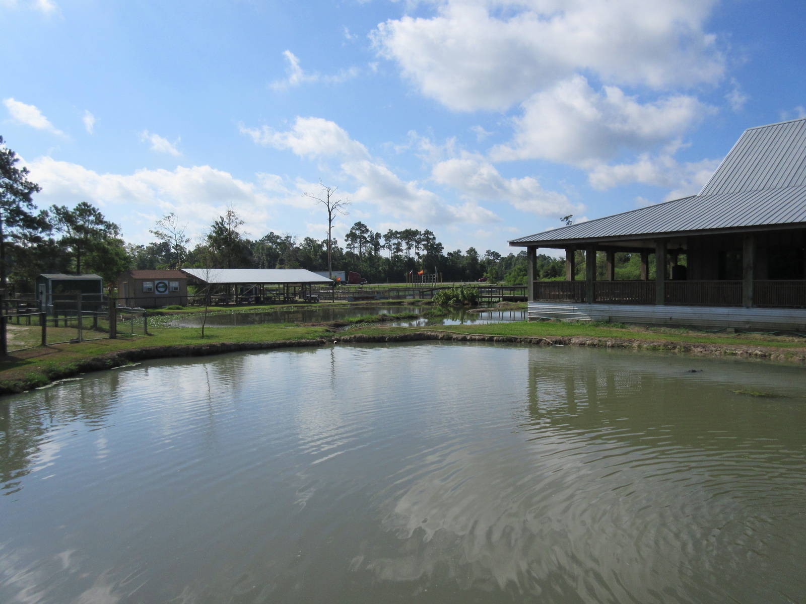Gator Exhibit