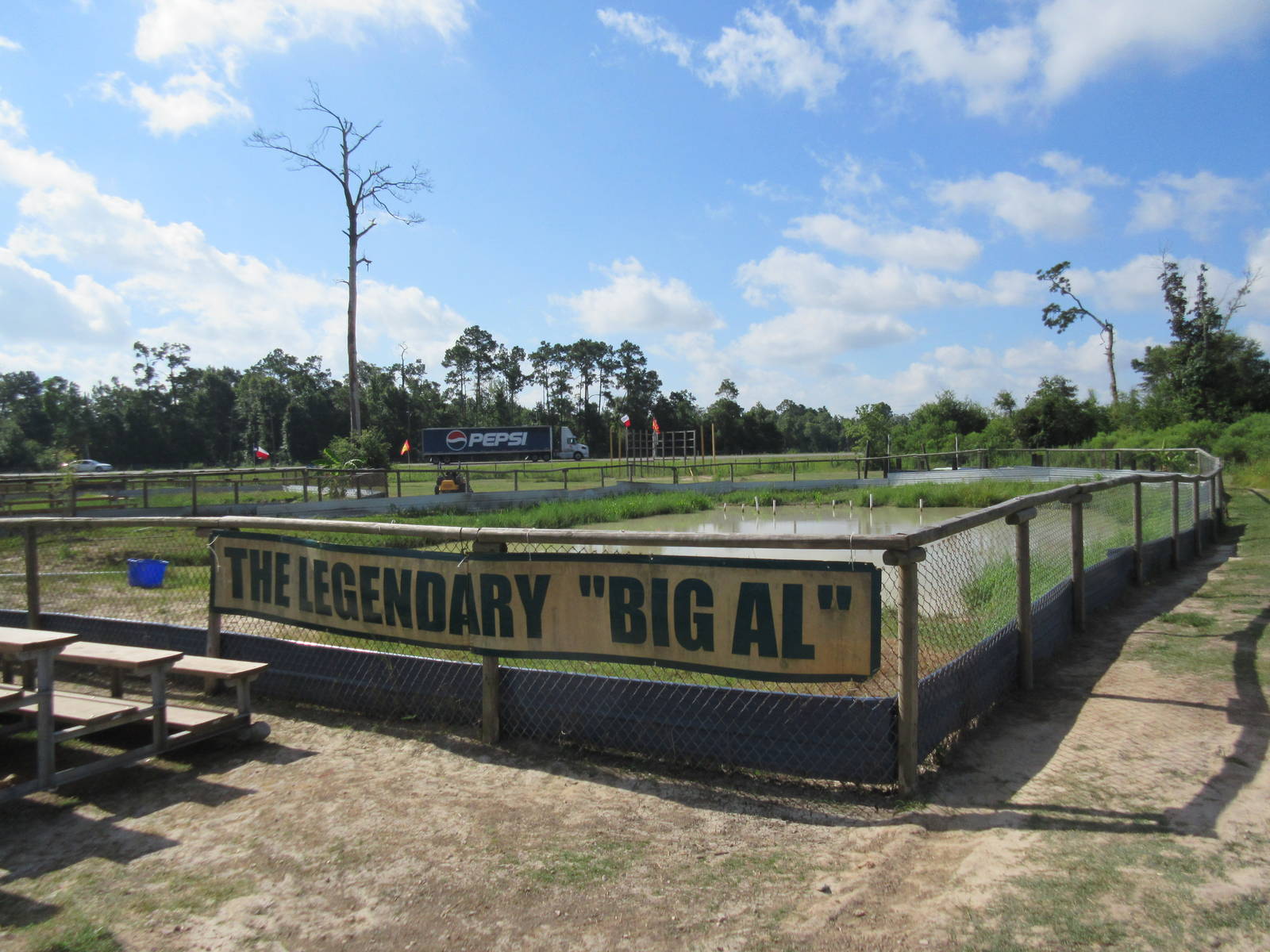 Gator Exhibit