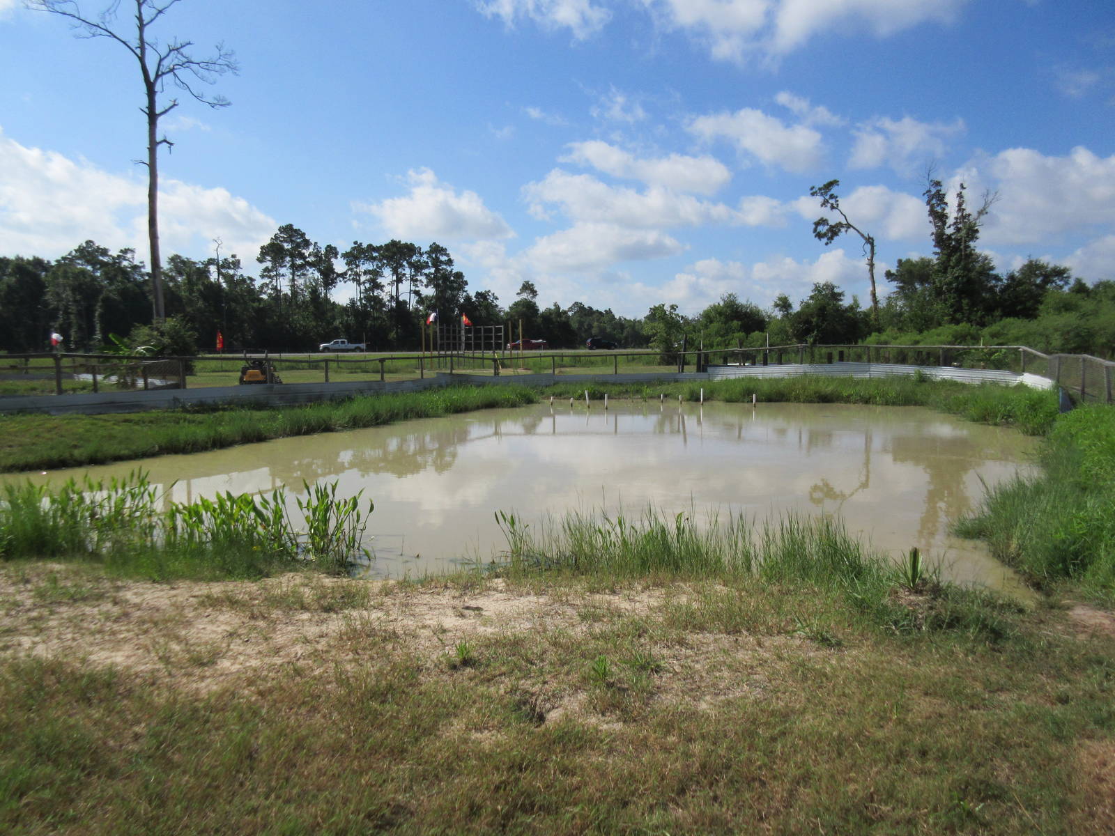 Gator Exhibit