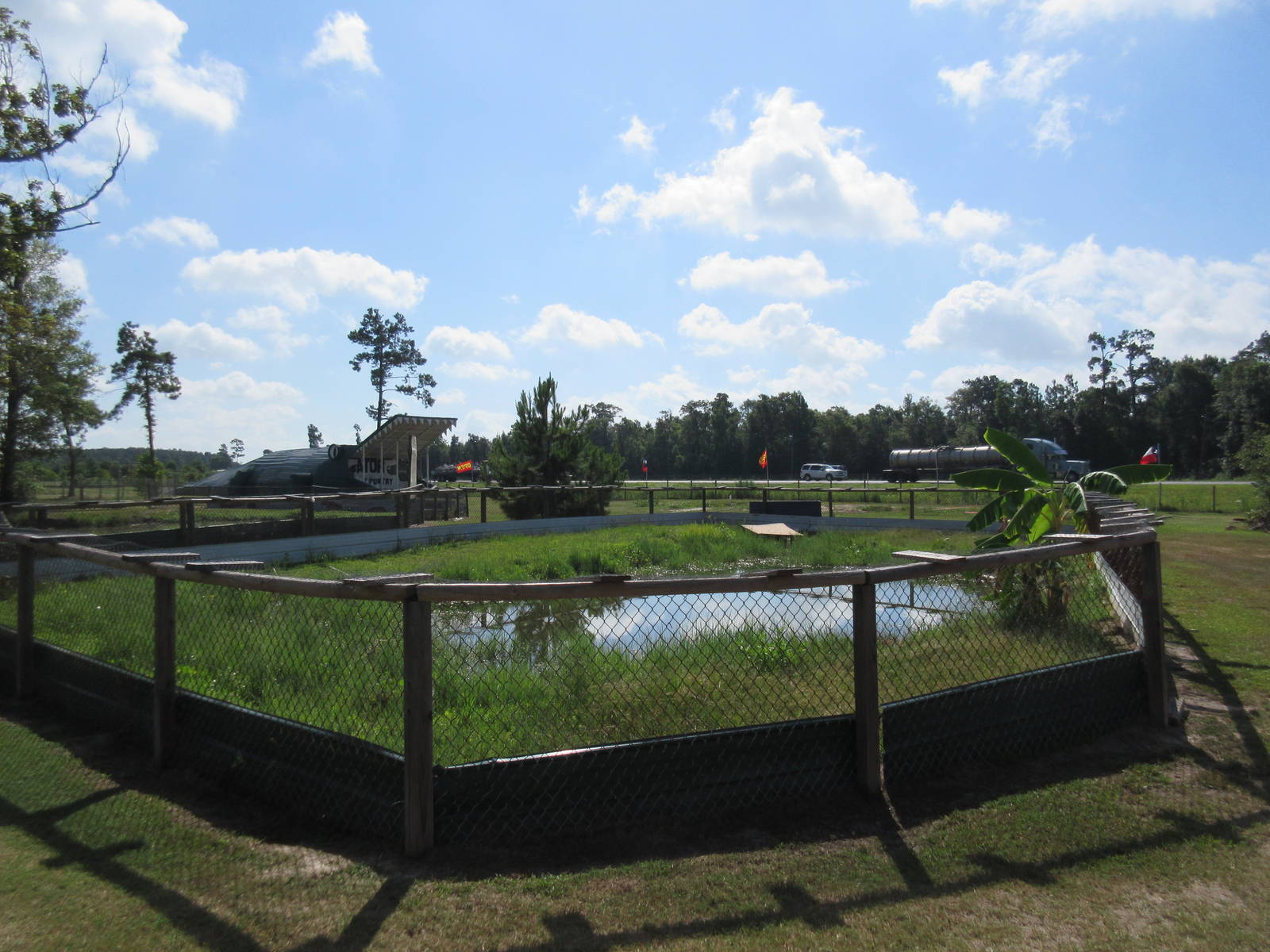 Gator Exhibit