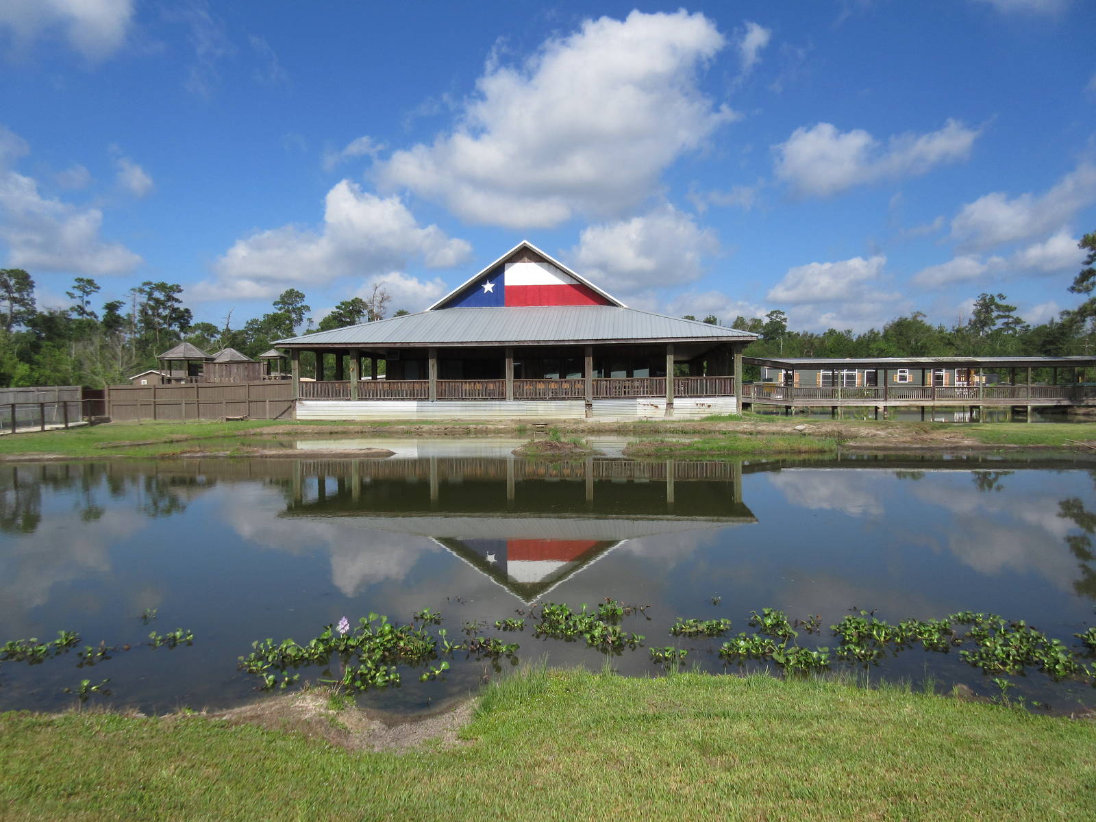 Gator Exhibit