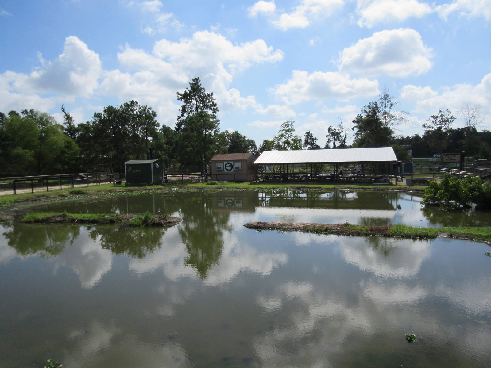 Gator Exhibit