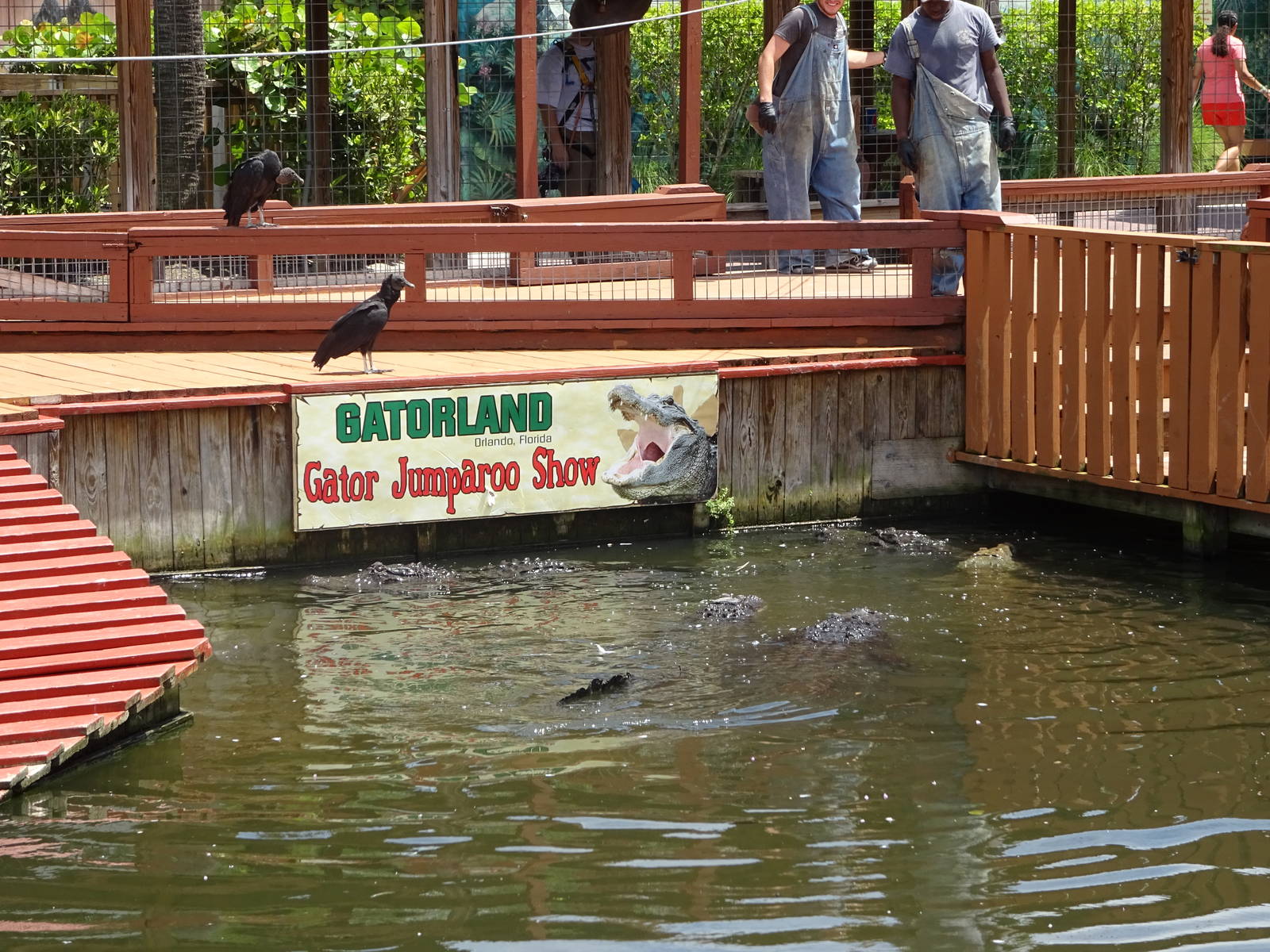 Gator Jumparoo Show at Gatorland