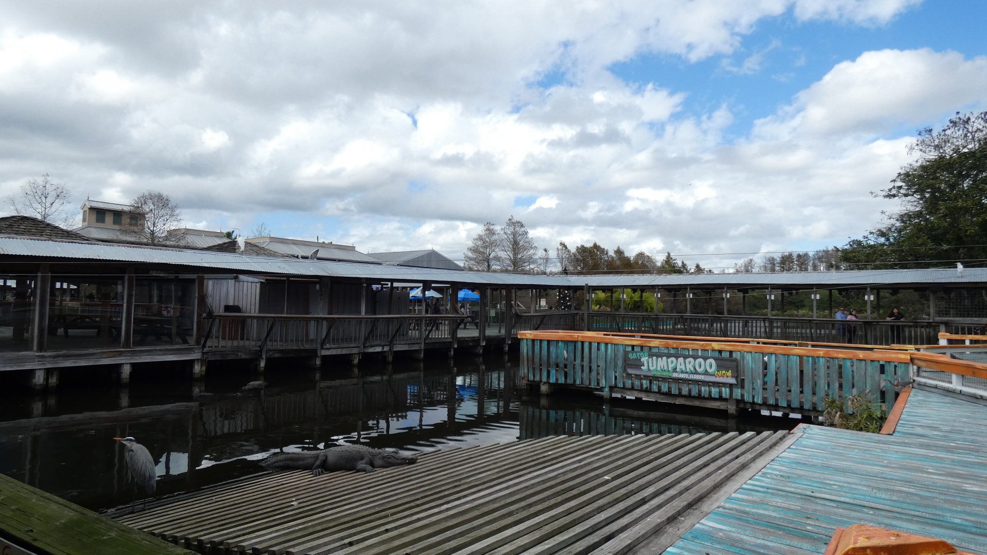 Gator Jumparoo Show - Jan. 2022