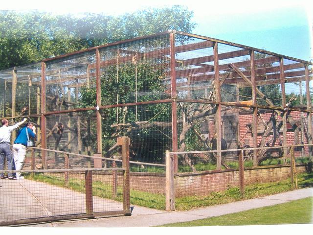 Gatwick monkey cages