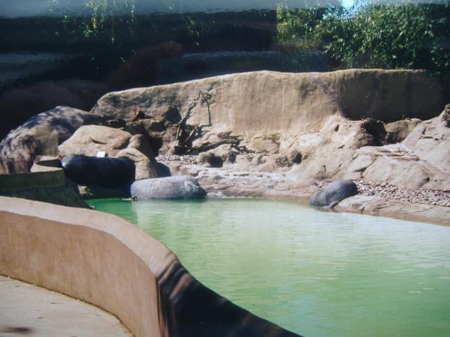 Gatwick penguin pool