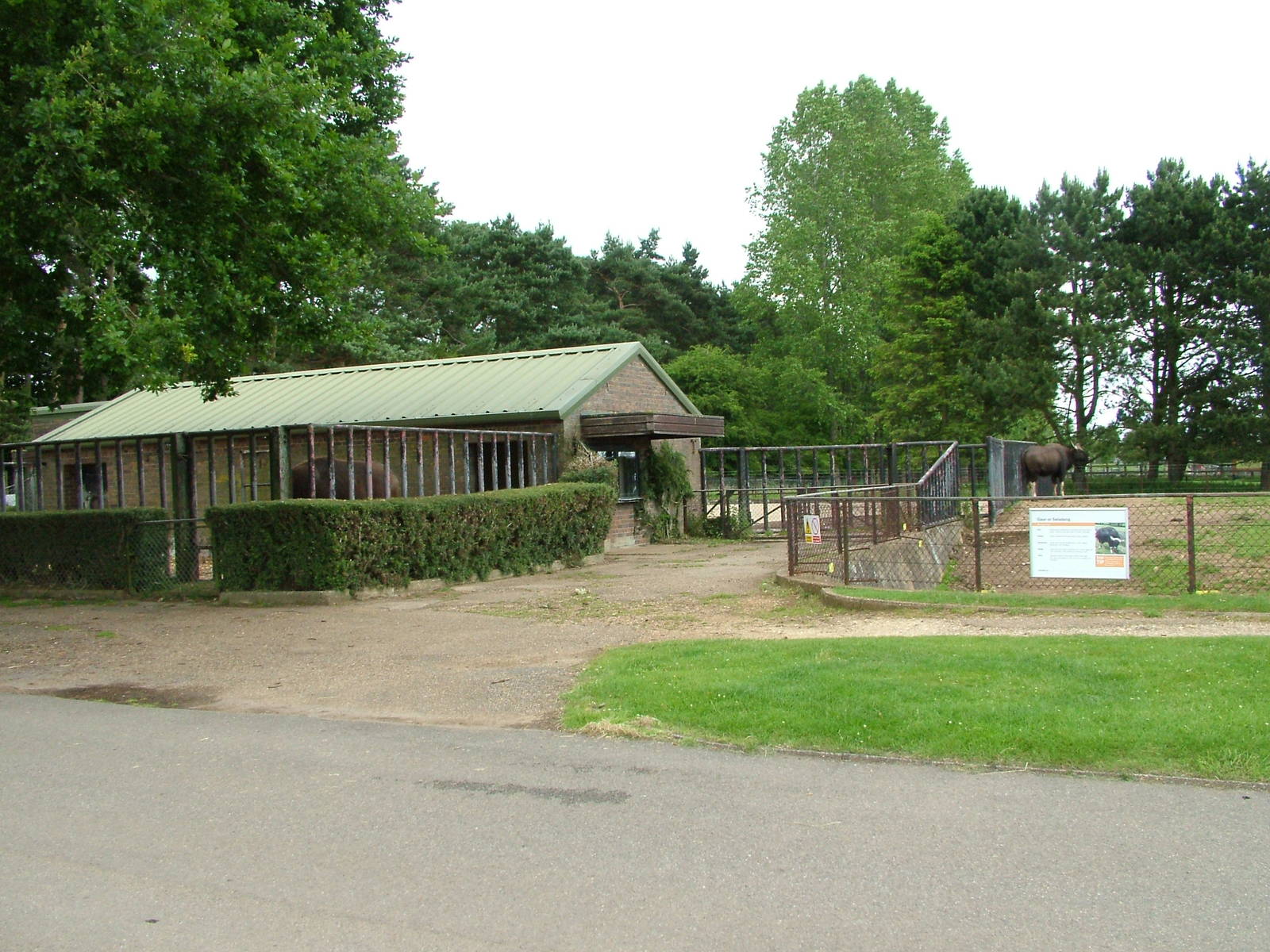 Gaur complex at Whipsnade 20/06/09