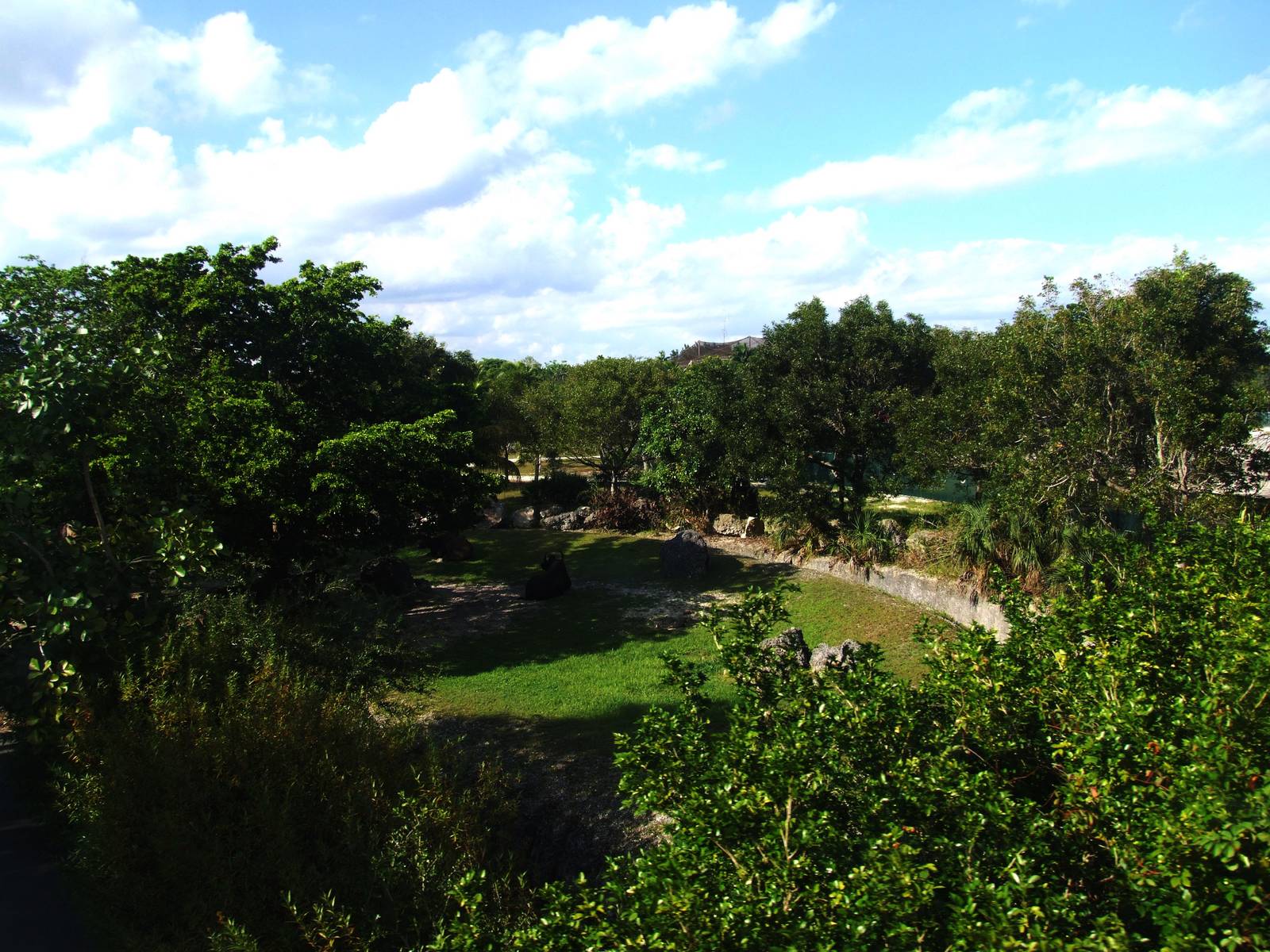 Gaur Exhibit at Miami, 12/10/13