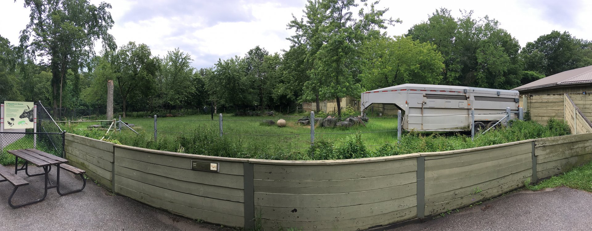 Gaur Outdoor Exhibit