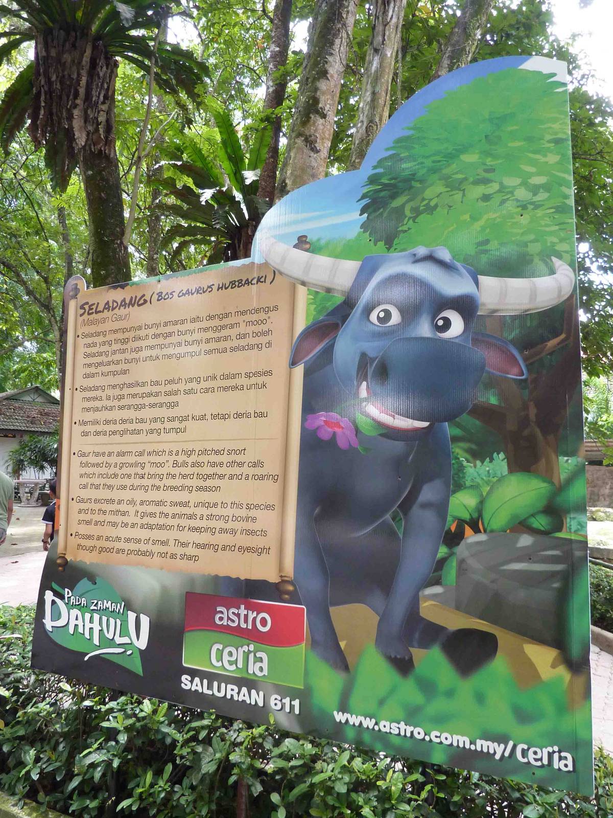 Gaur sign, May 2013.