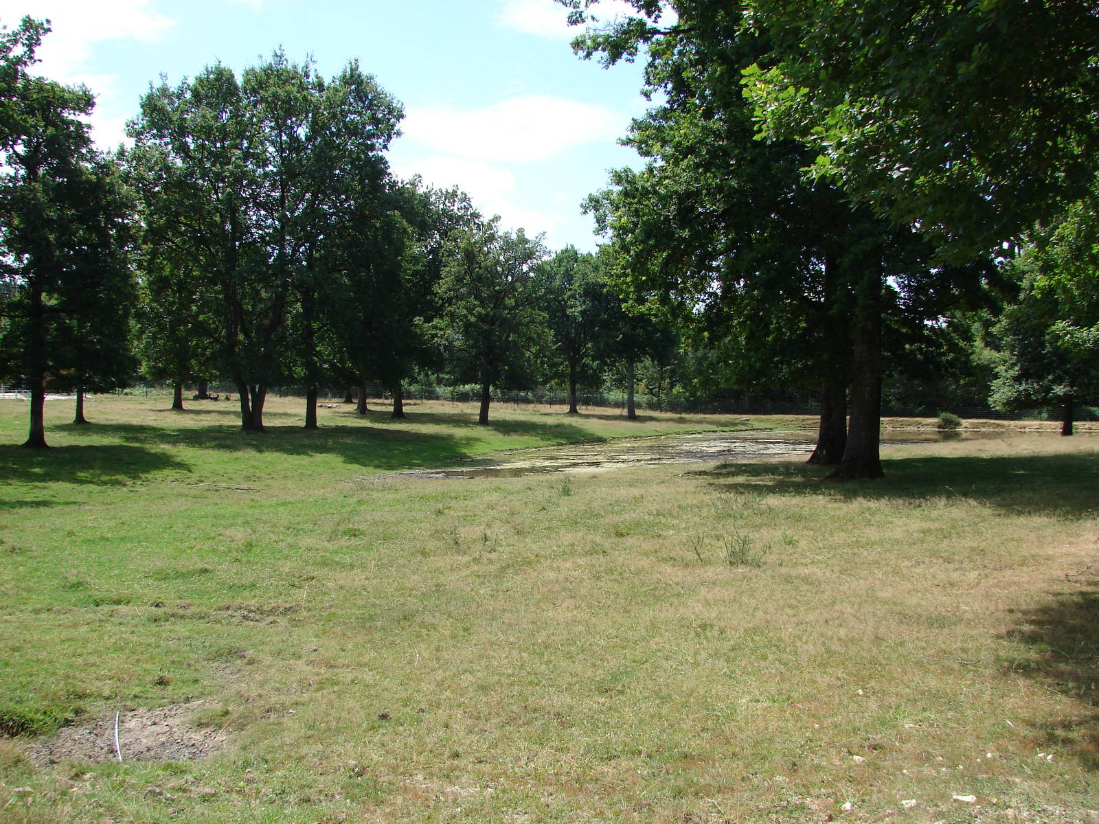 Gaurs and sambar deers exhibit