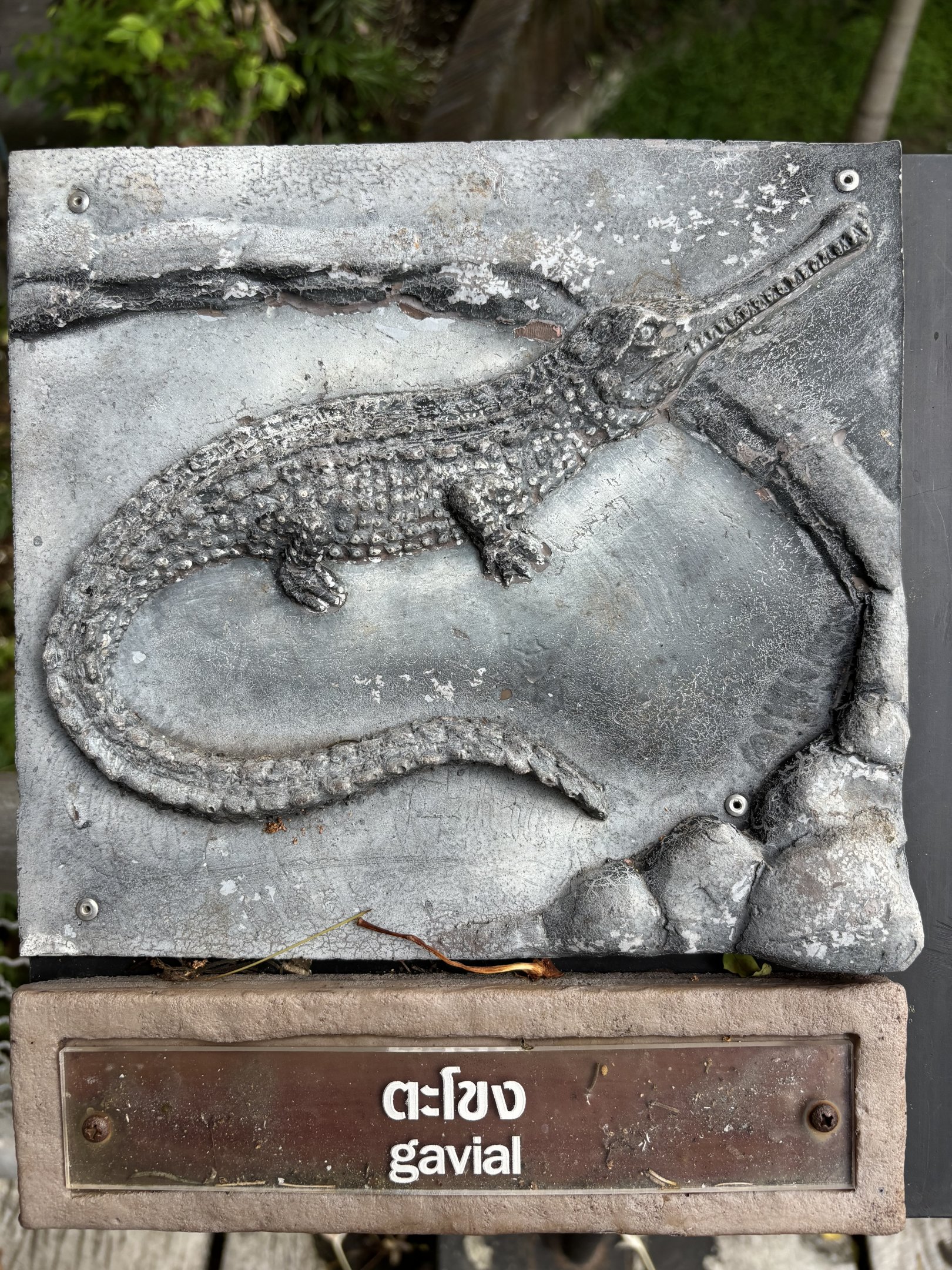 Gavial Sign