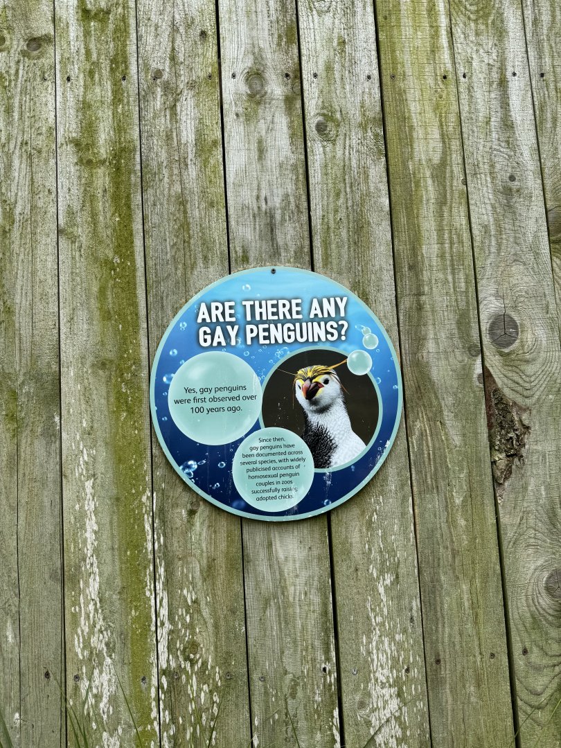 Gay Penguin Sign at Woodside Wildlife Park (May 2024)