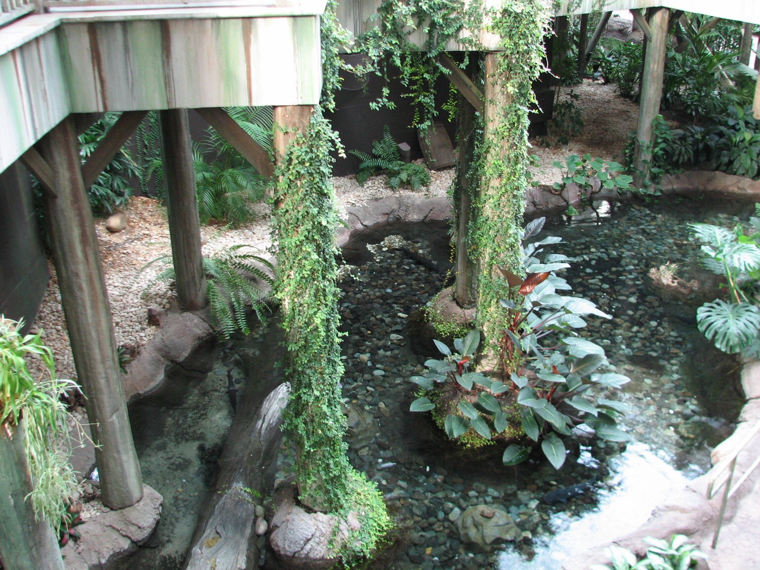 Gaylord Palms - Everglades Atrium - Fish Pool