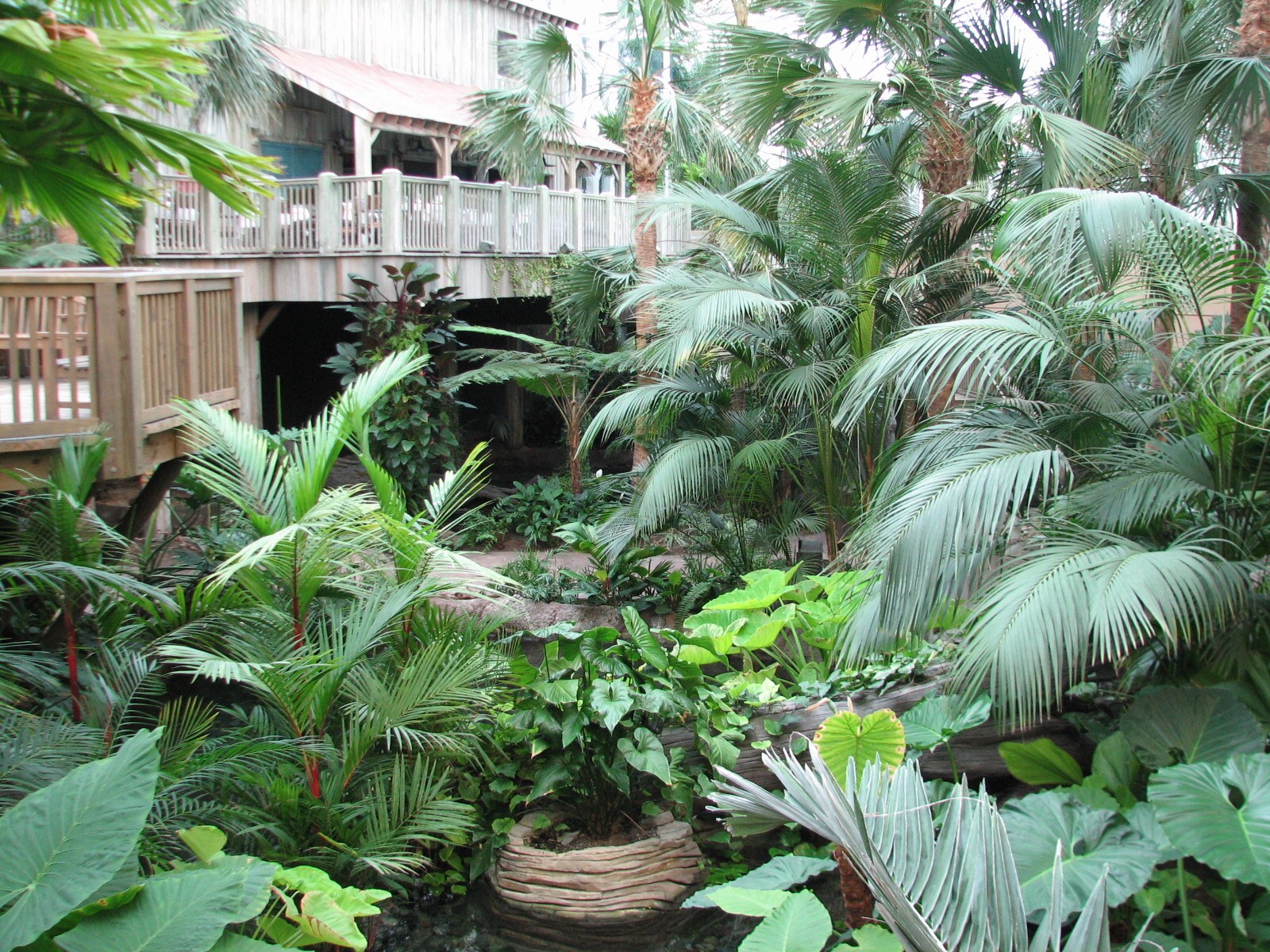 Gaylord Palms - Everglades Atrium Interior