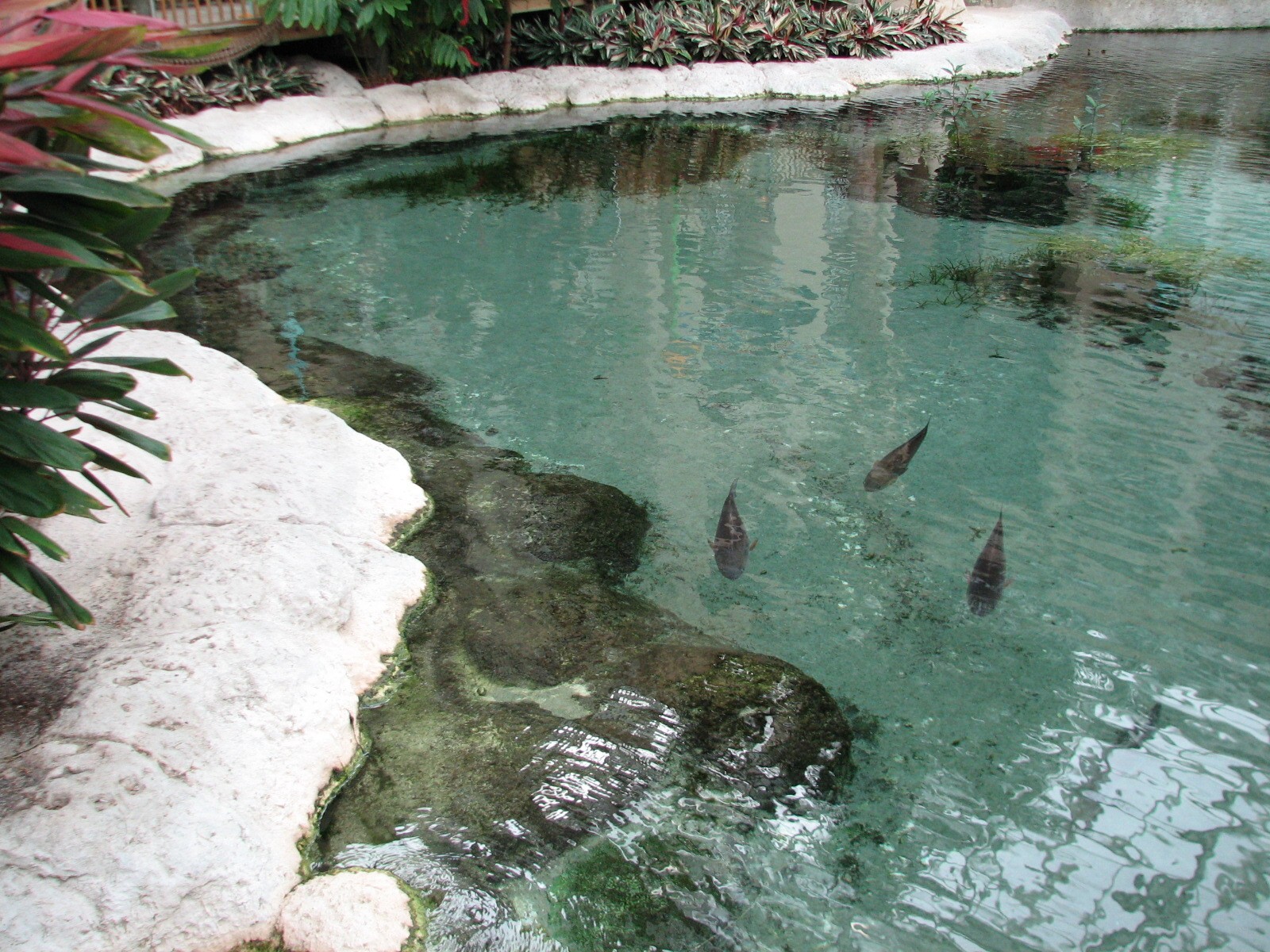 Gaylord Palms - Key West Atrium