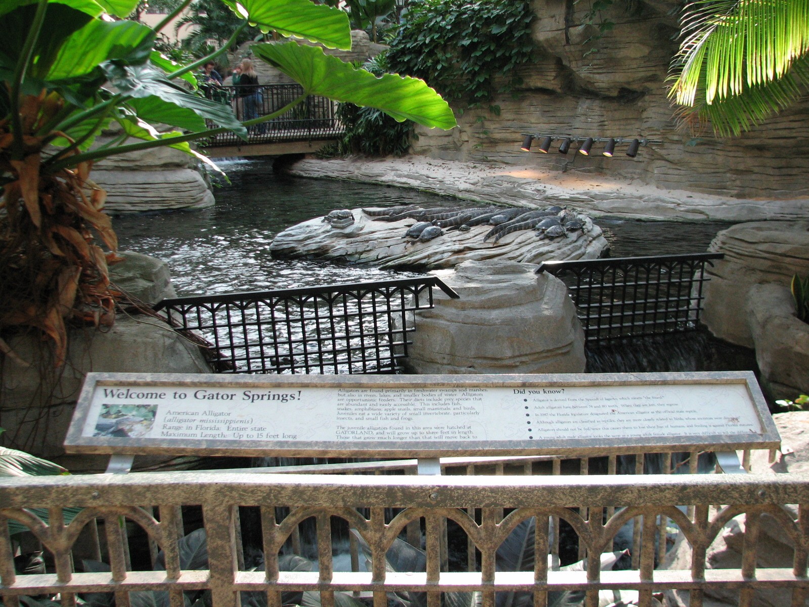 Gaylord Palms - St. Augustine Atrium - Gator Springs