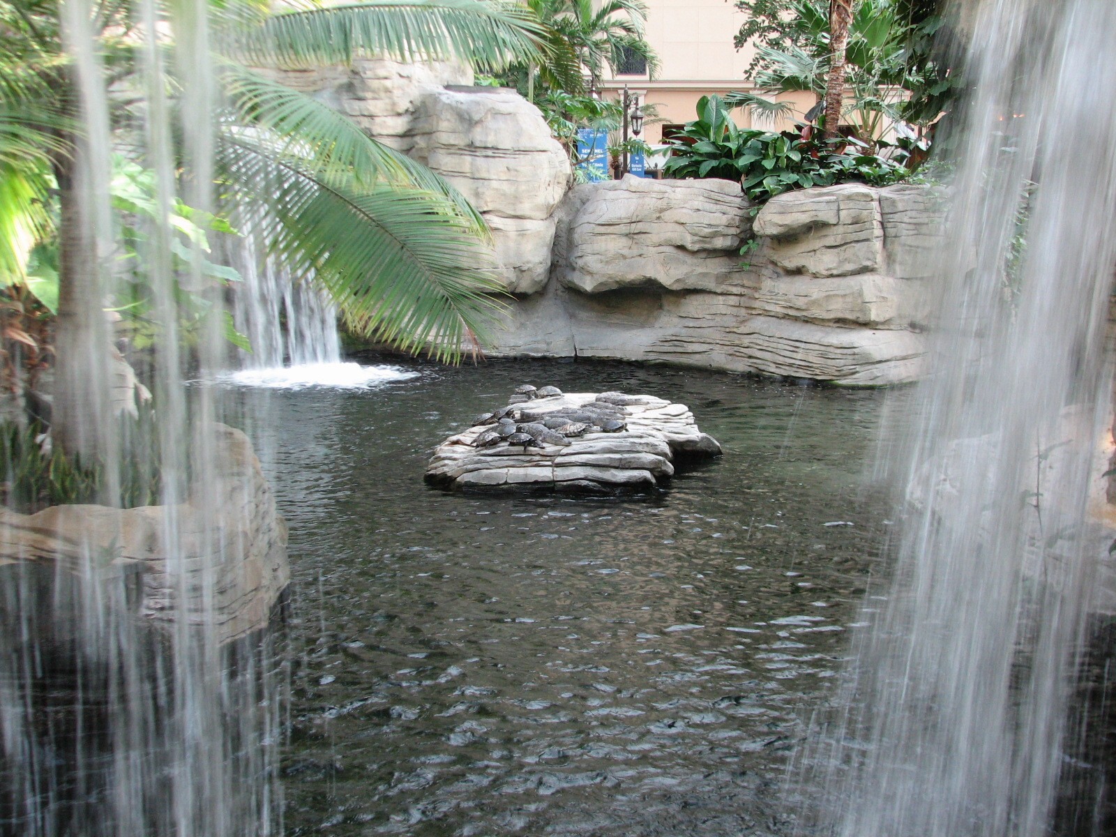 Gaylord Palms - St. Augustine Atrium - Gator Springs