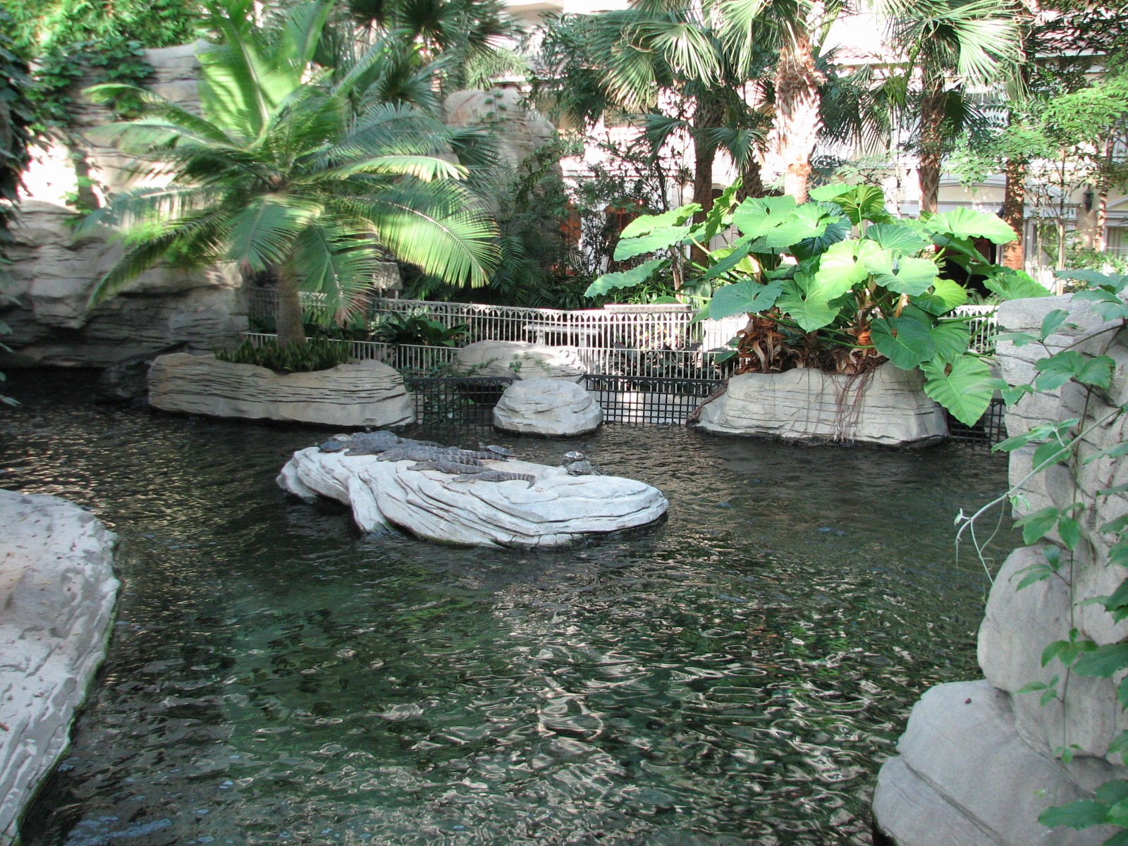 Gaylord Palms - St. Augustine Atrium - Gator Springs