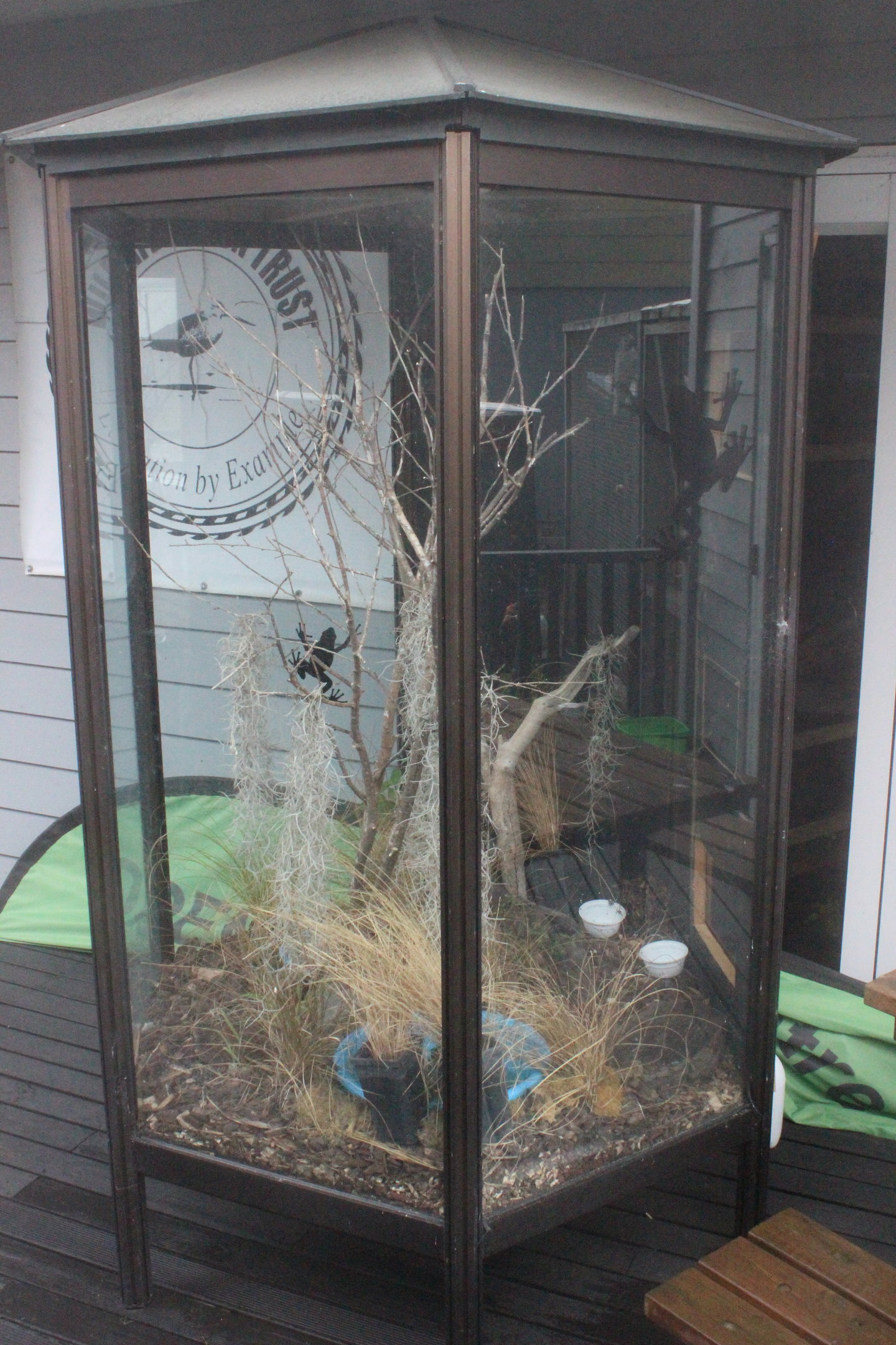 Gazebo enclosure for Litoria ewingii, Wildlife Foxton Trust