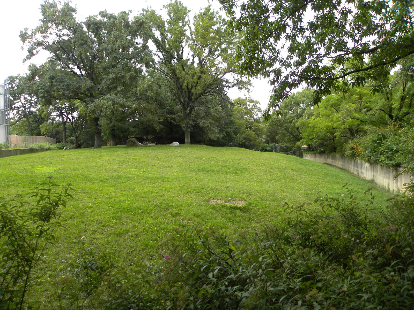 Gazelle/Addax/Stork/Crane exhibit