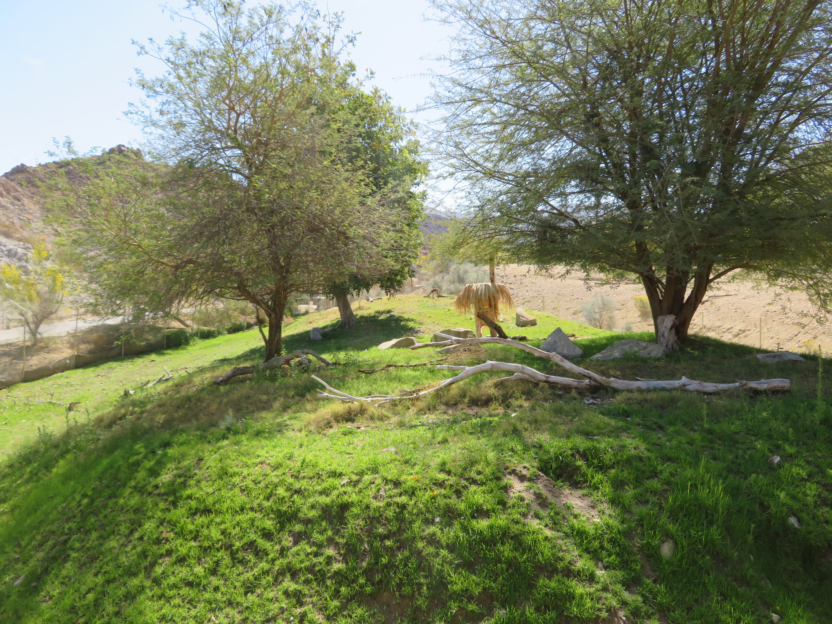 Gazelle and Hornbill Yard