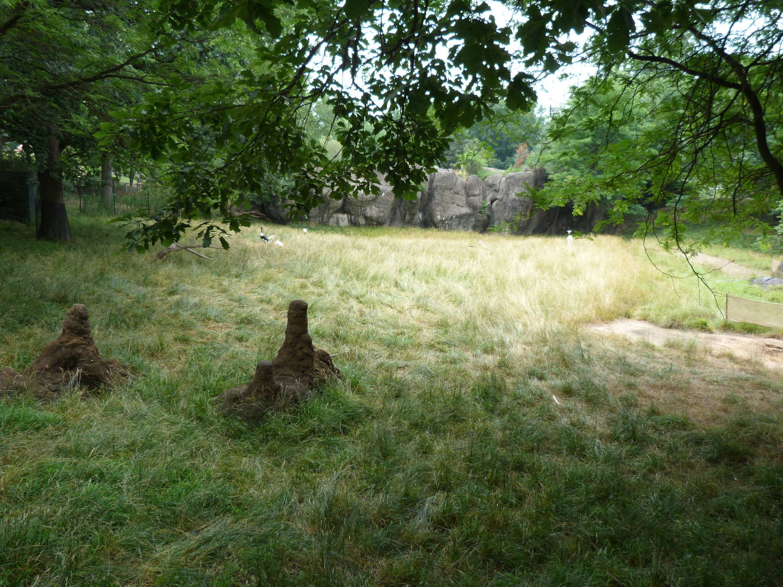 Gazelle Exhibit