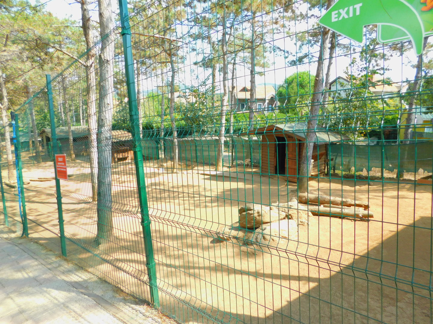 Gazelle habitat at Park Of Istanbul