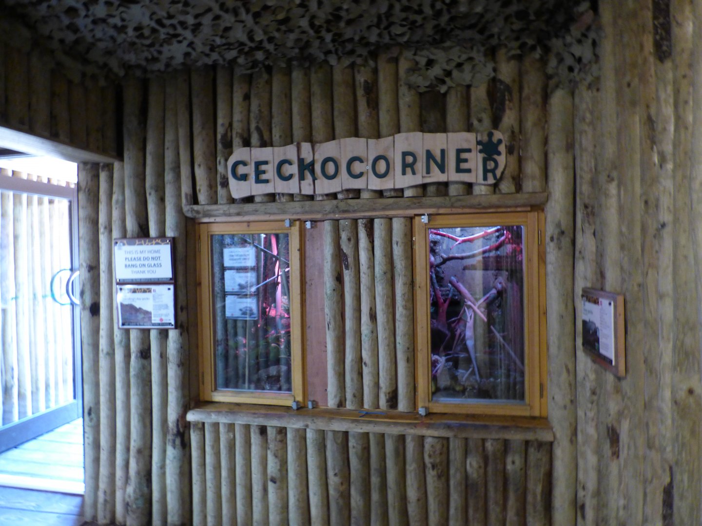 Gecko Corner