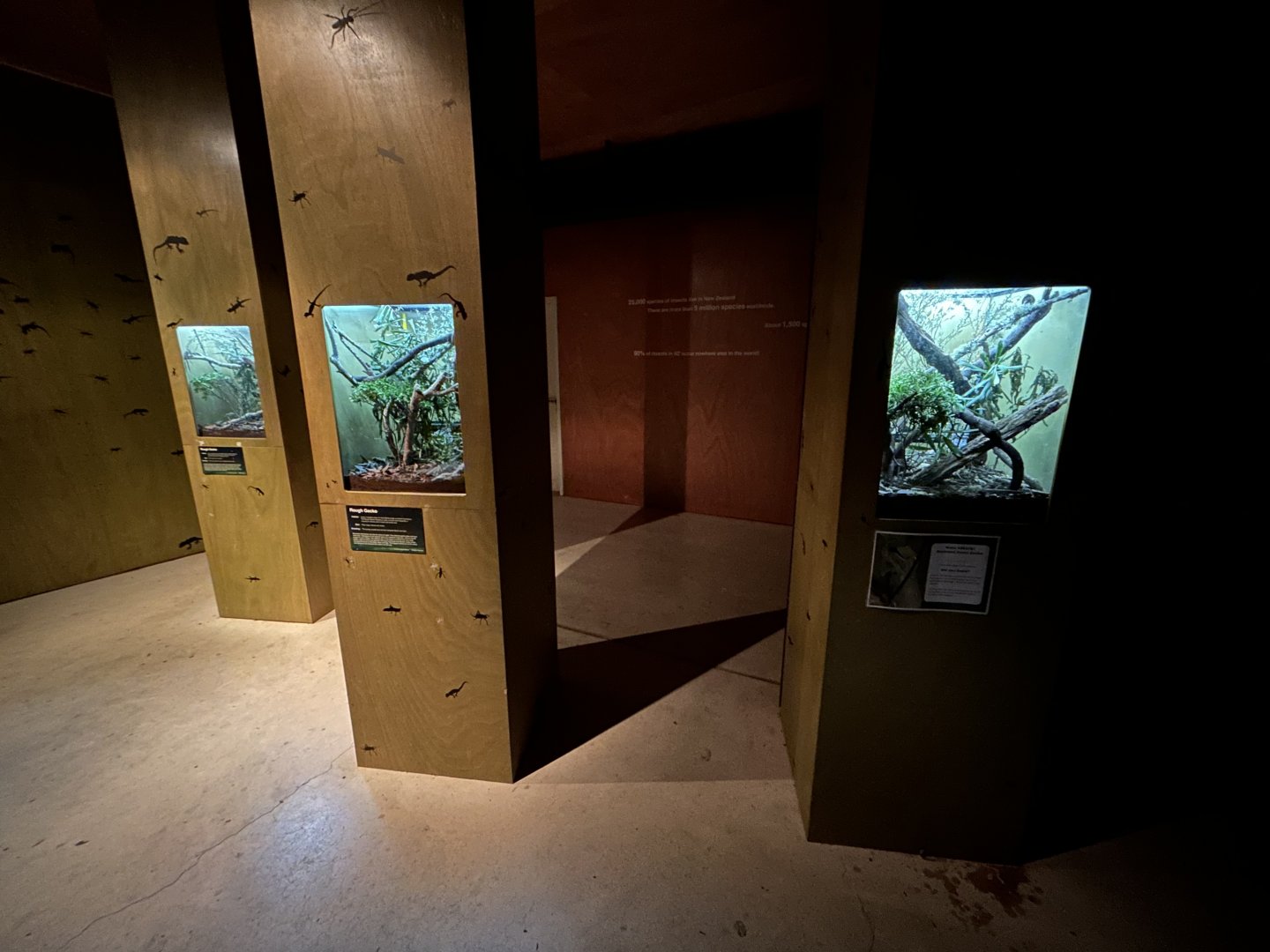 Gecko Exhibits (2 Species)