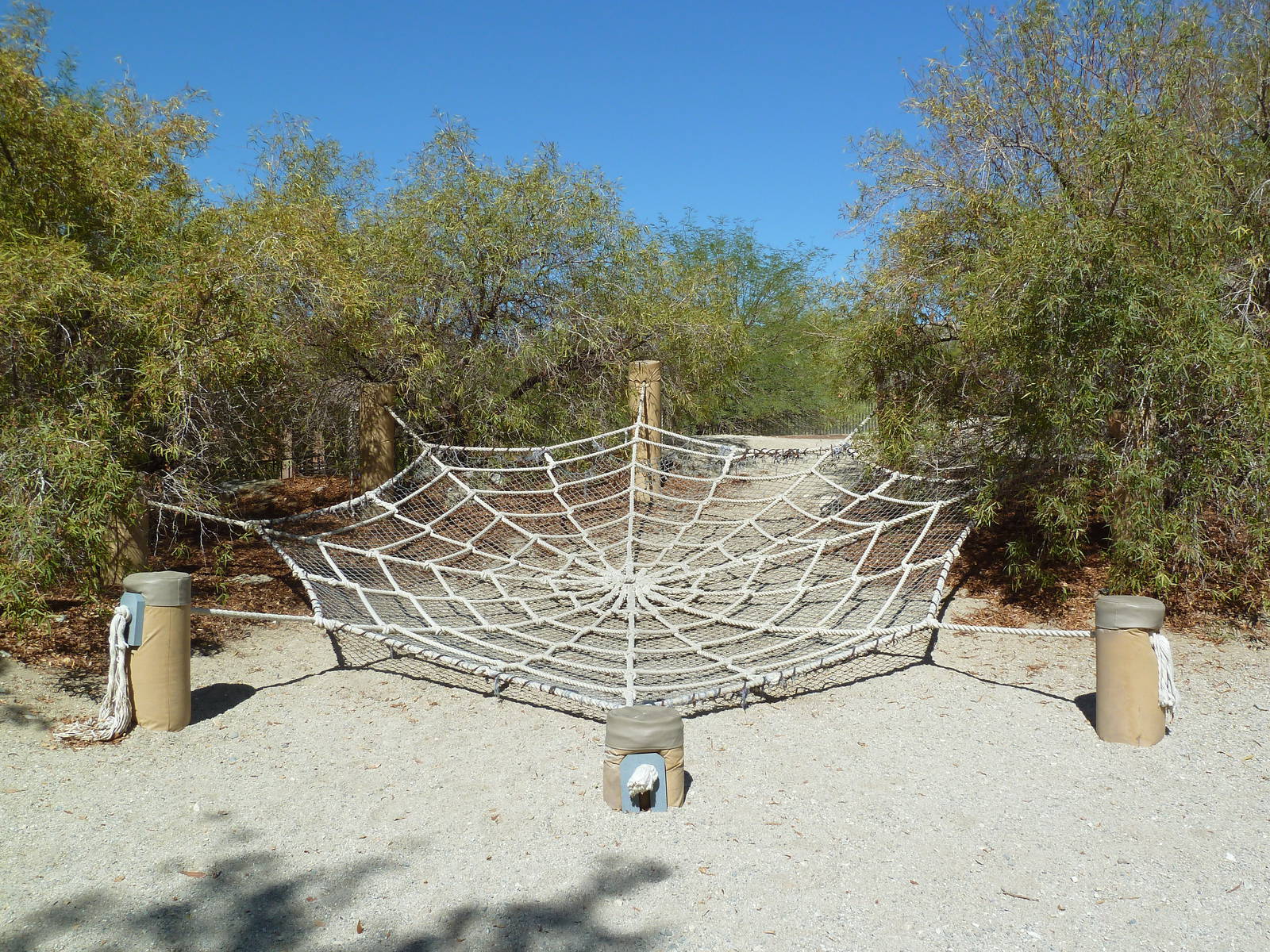 Gecko Gulch - Play Area