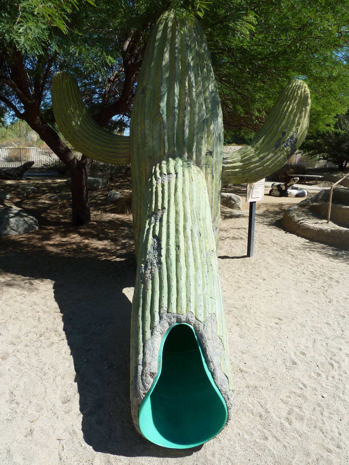 Gecko Gulch - Play Area