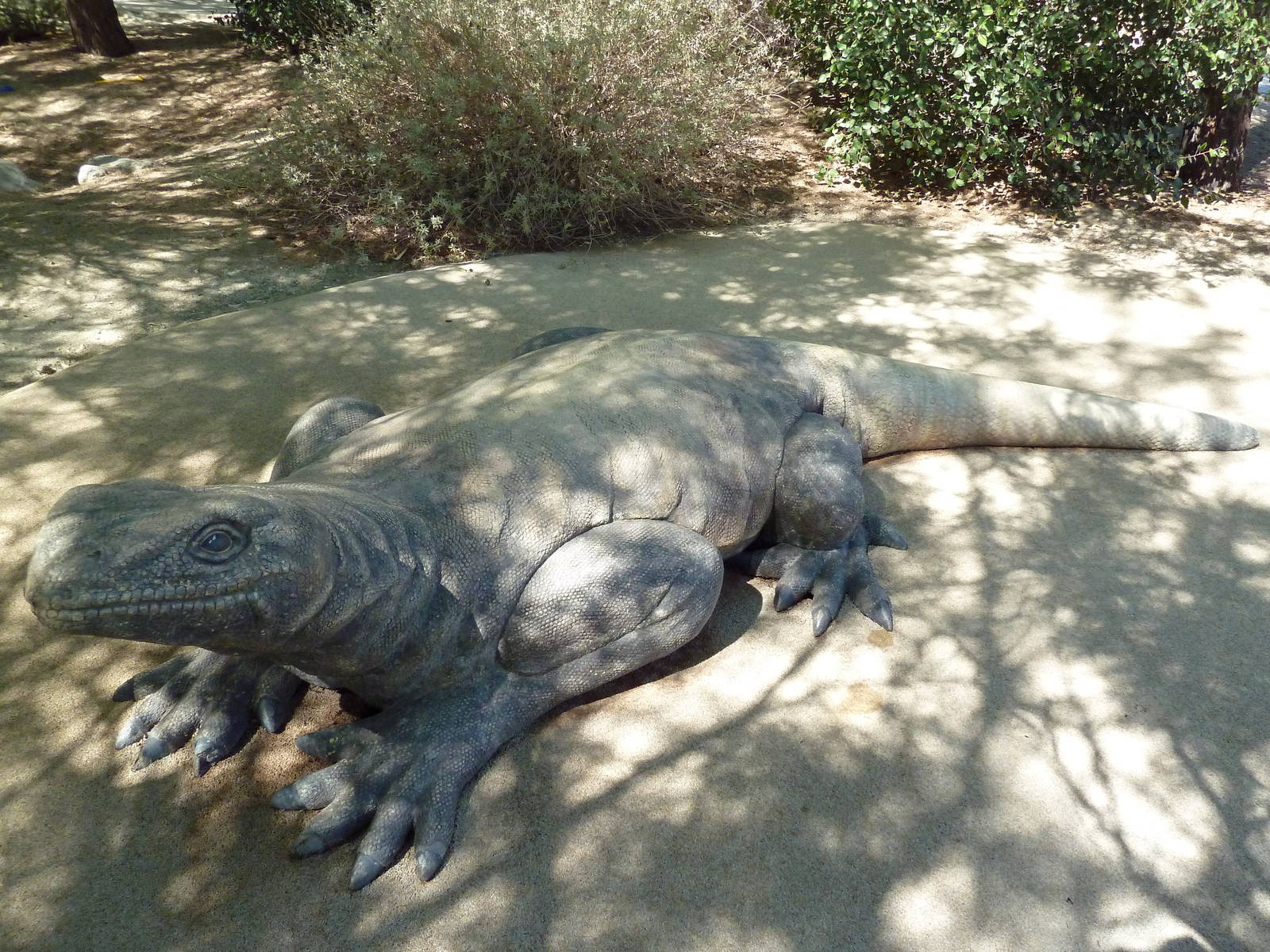 Gecko Gulch - Play Area