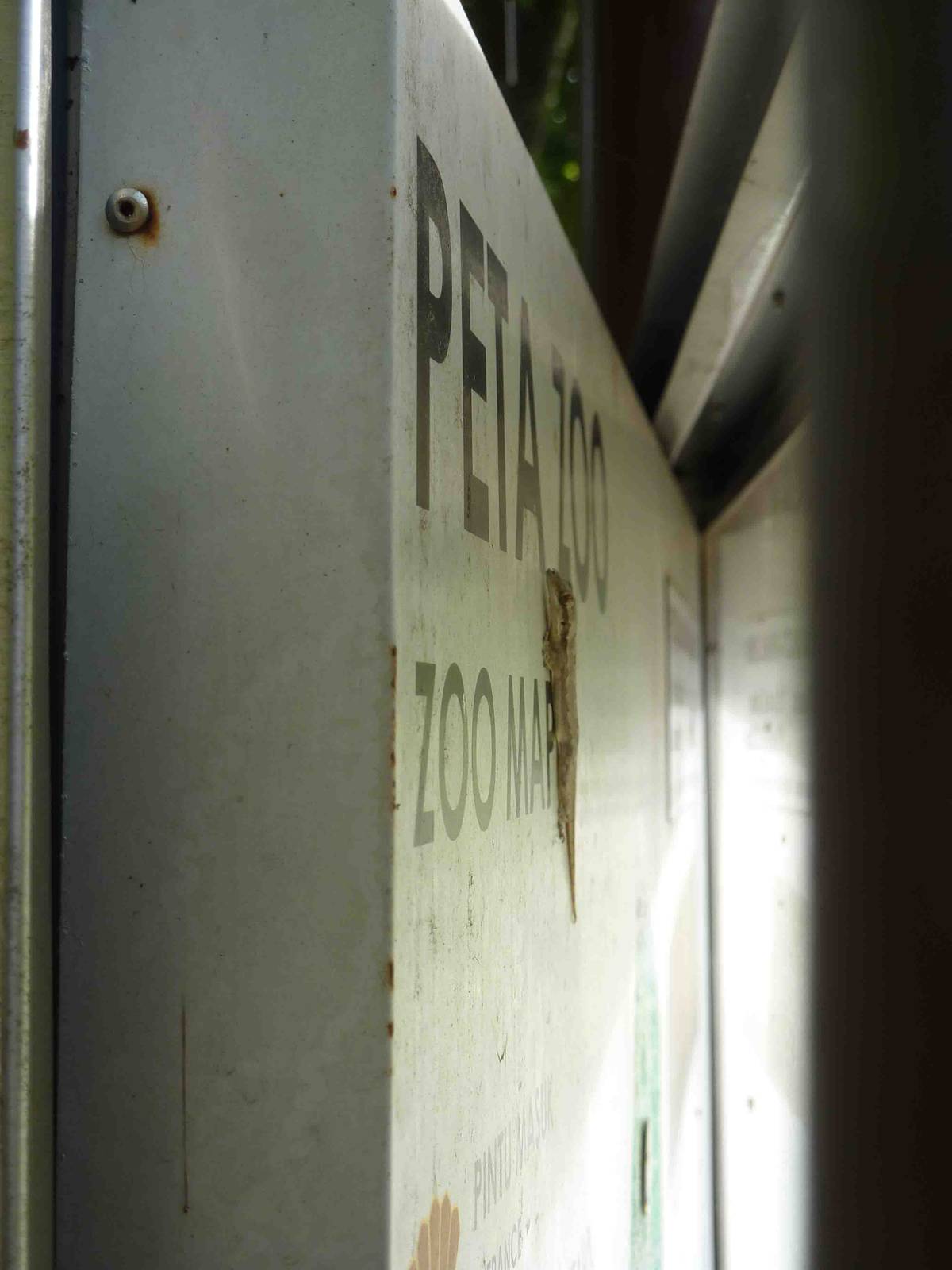 Gecko on map, May 2013.