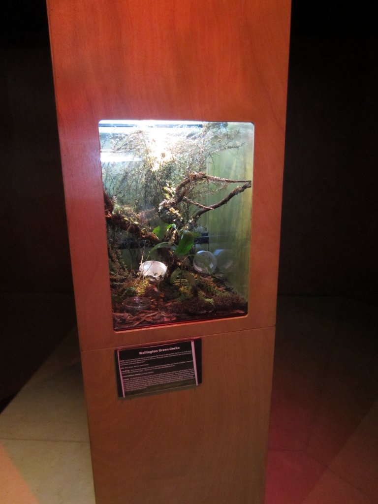 Gecko tank