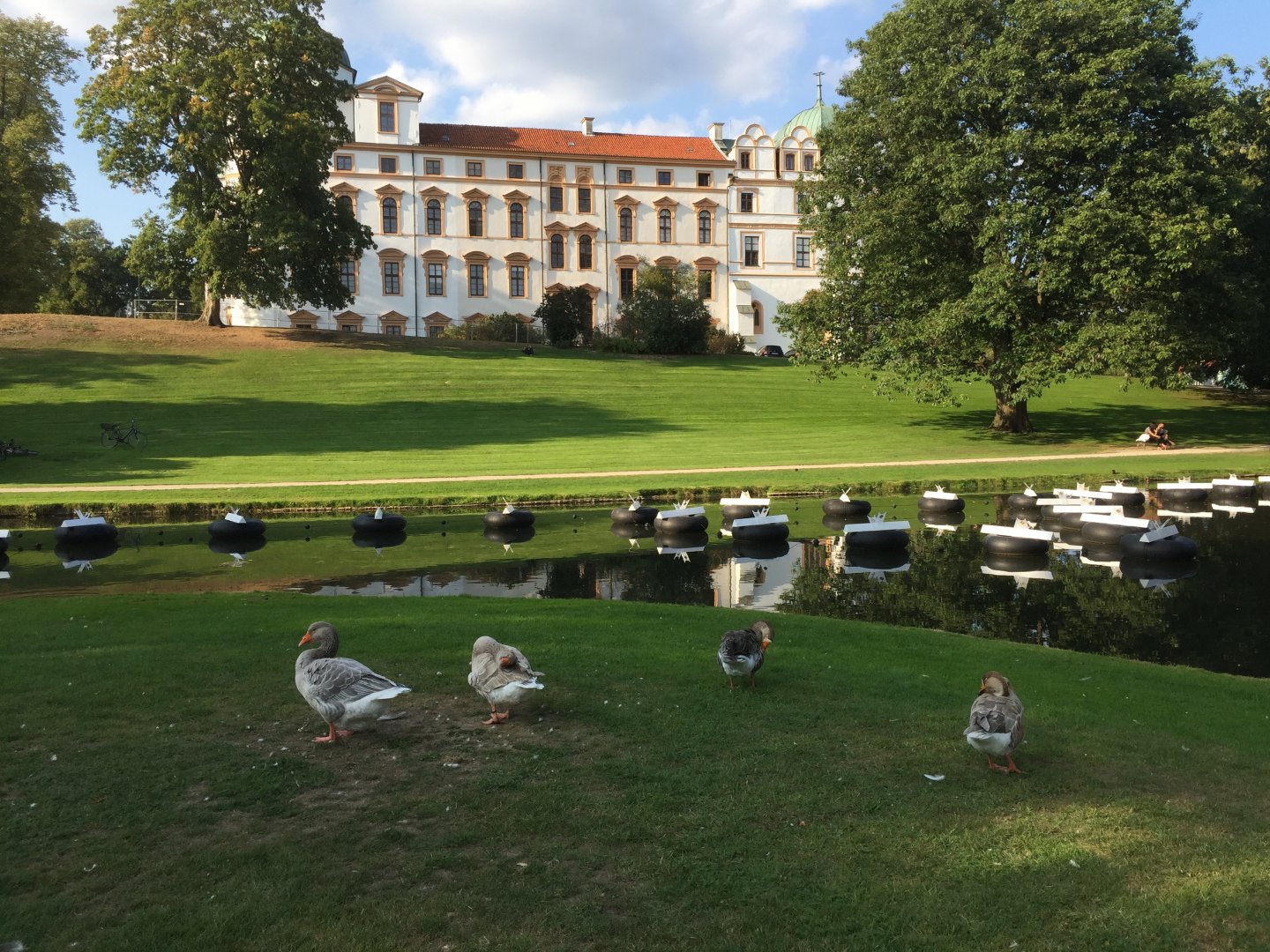 Geese by Celle Castle (Celler Schloss)