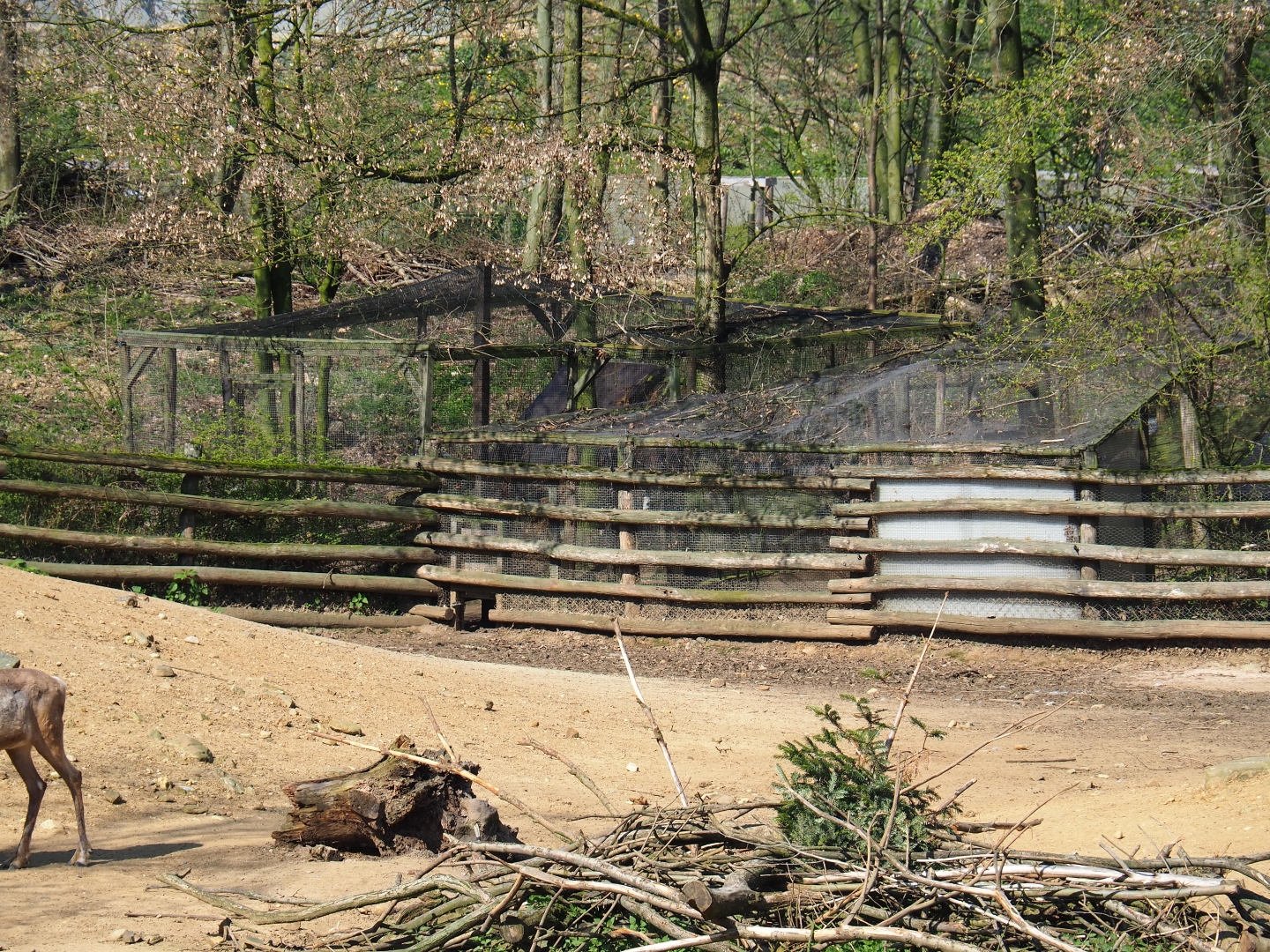 Geese holding aviaries, 2019-03-30