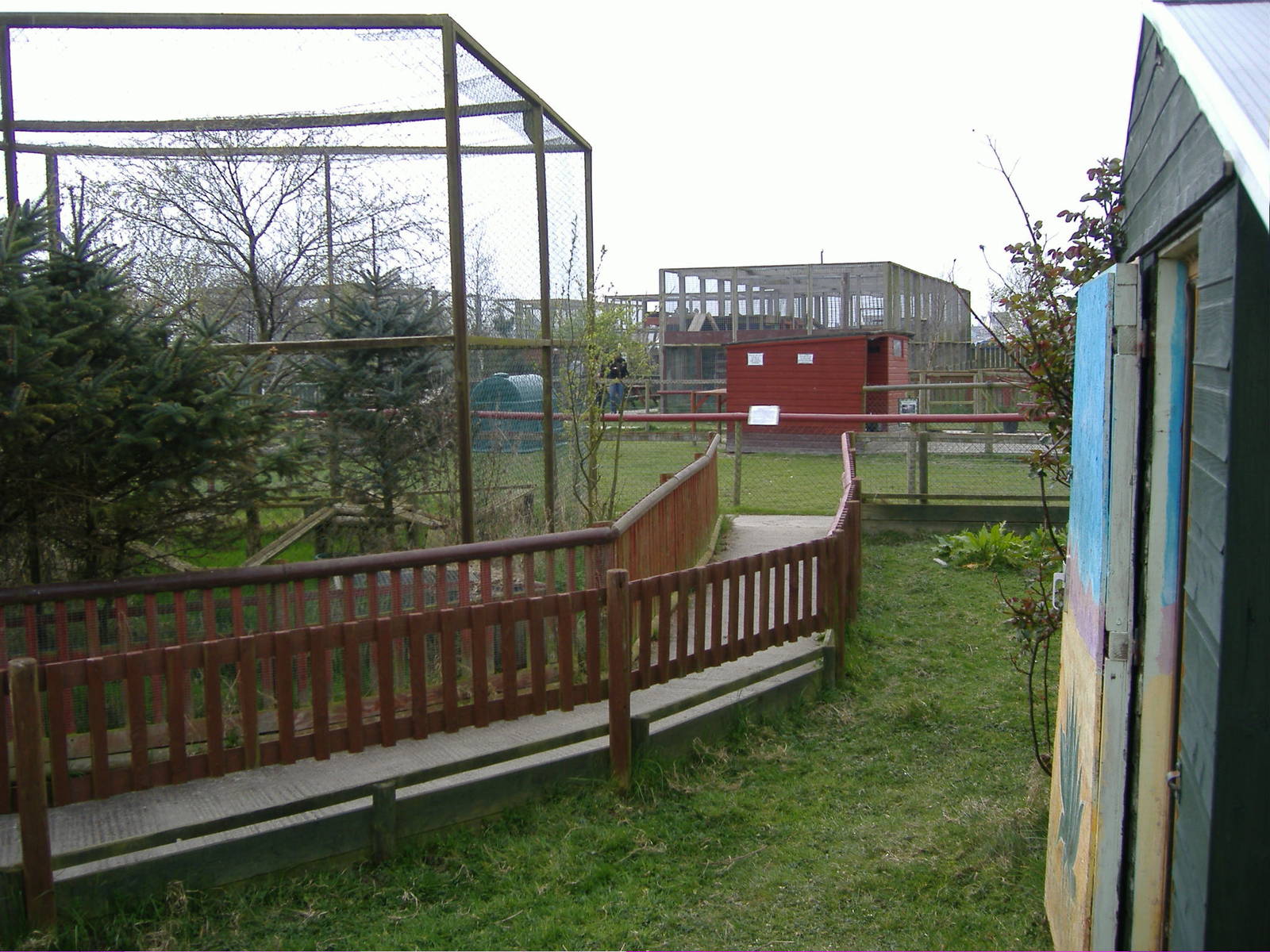 Geffroys cat outside enclosure Animalarium