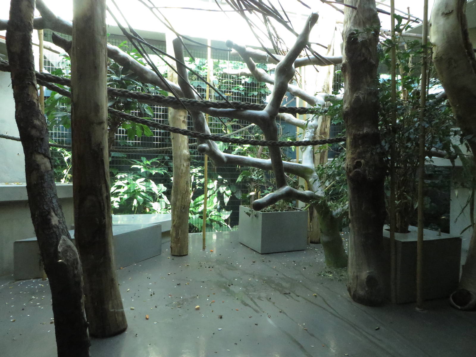 Geigy house - indoor enclosure